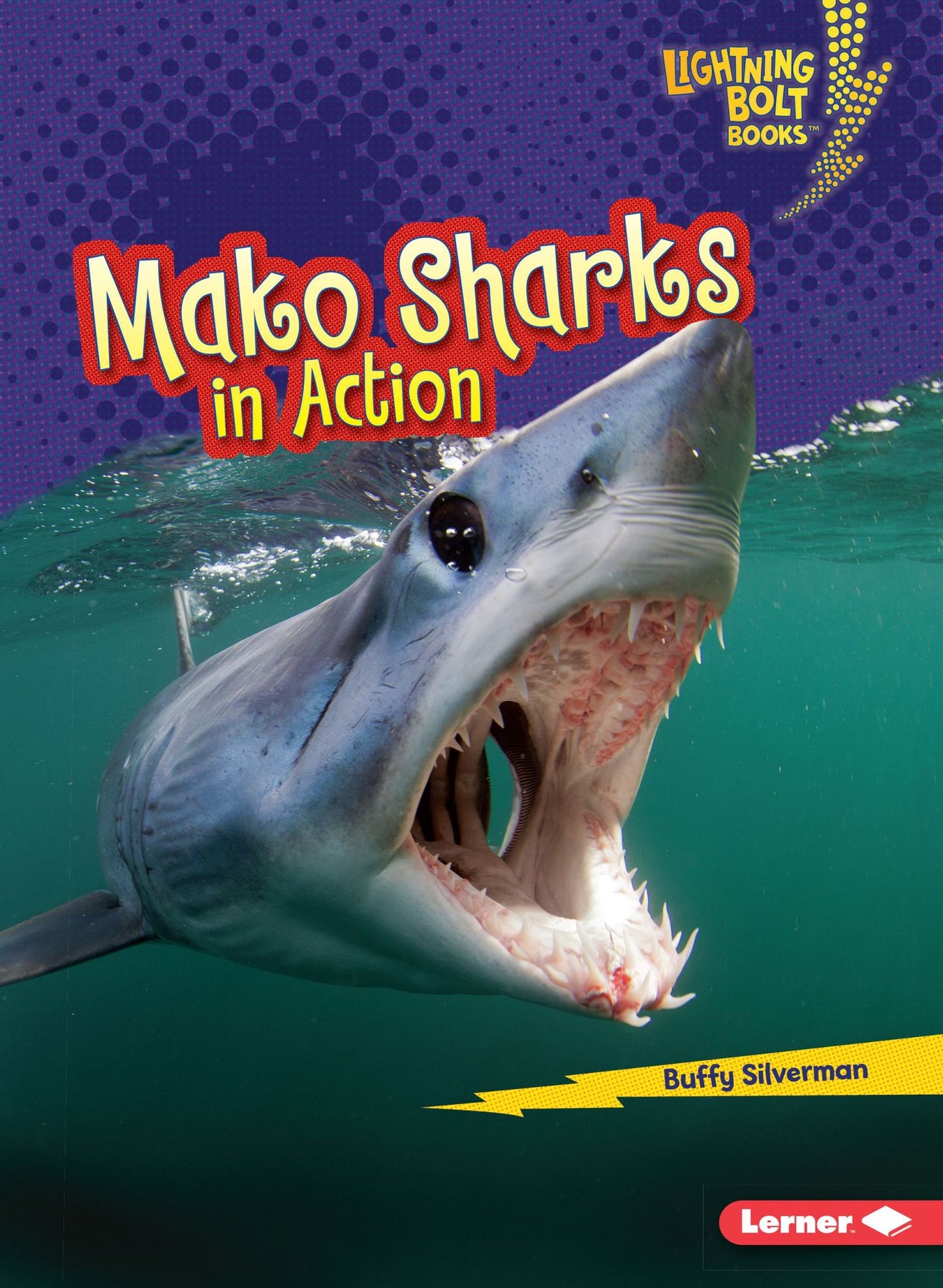 Mako Sharks in Action Mako Sharks in Action