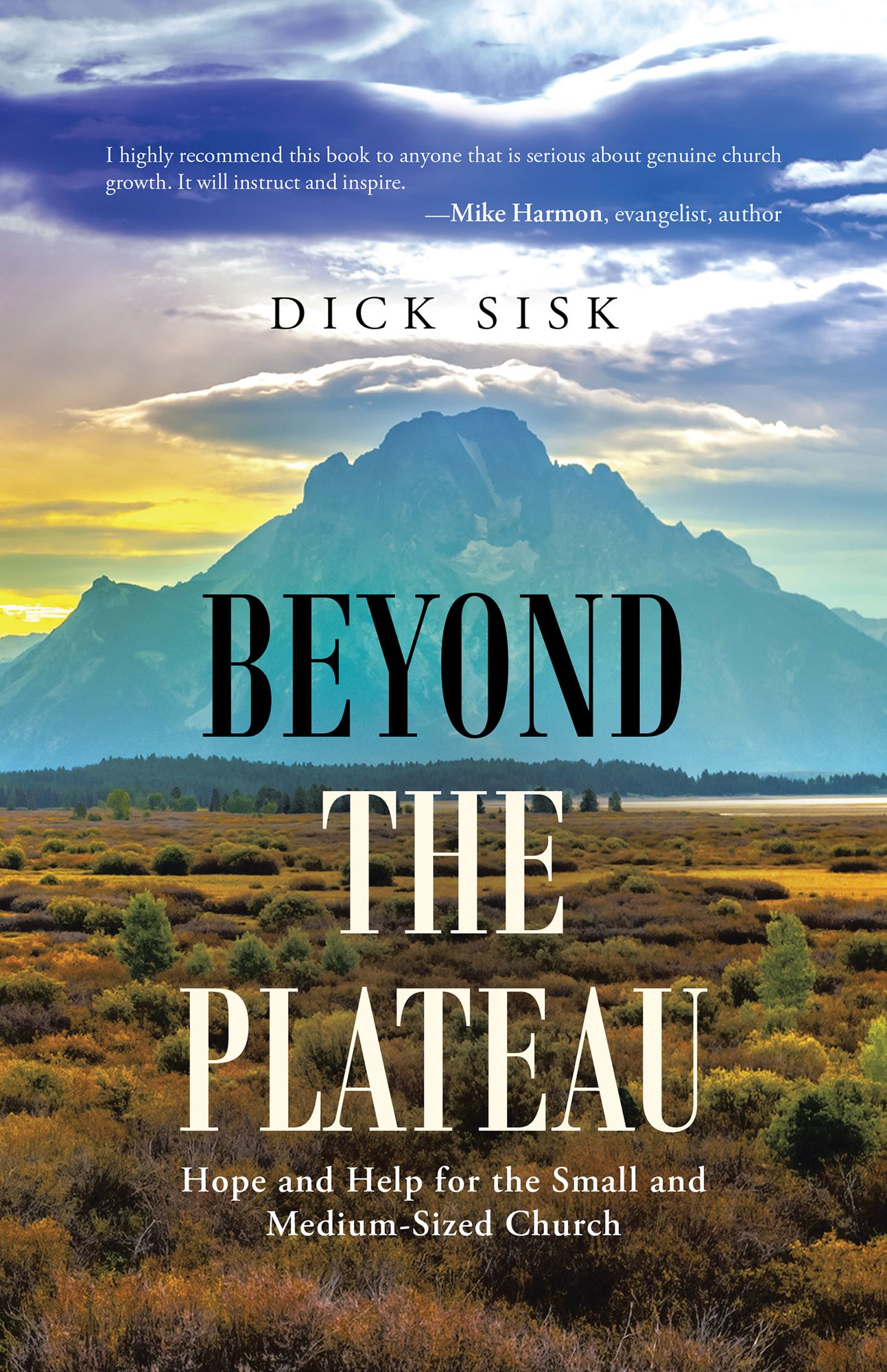 Beyond the Plateau: Hope and Help for the Small and Medium-Sized Church
