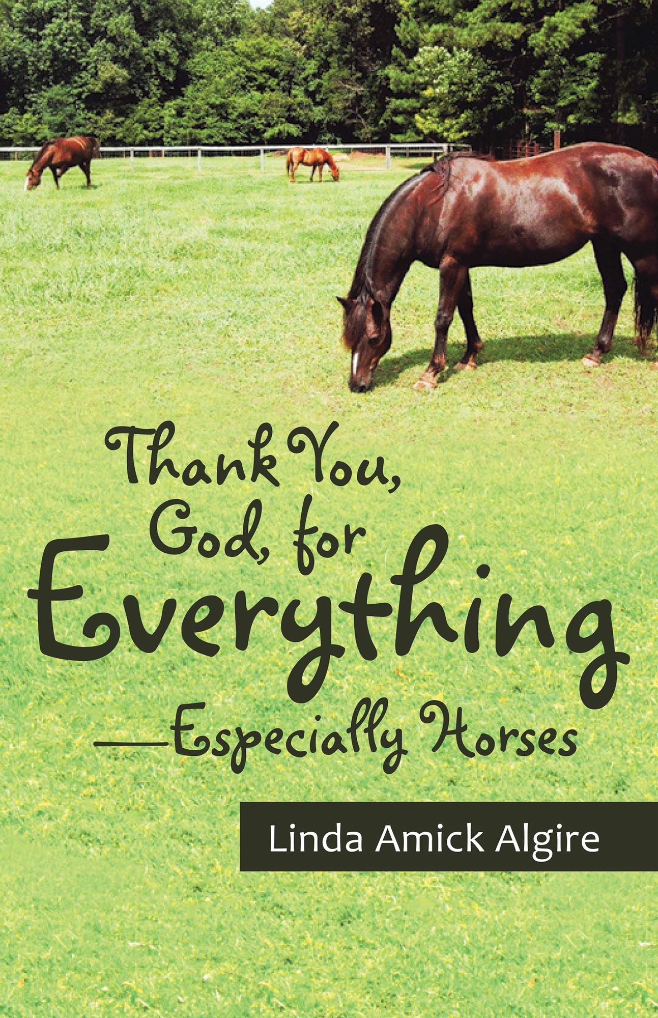 Thank You, God, for Everything--Especially Horses