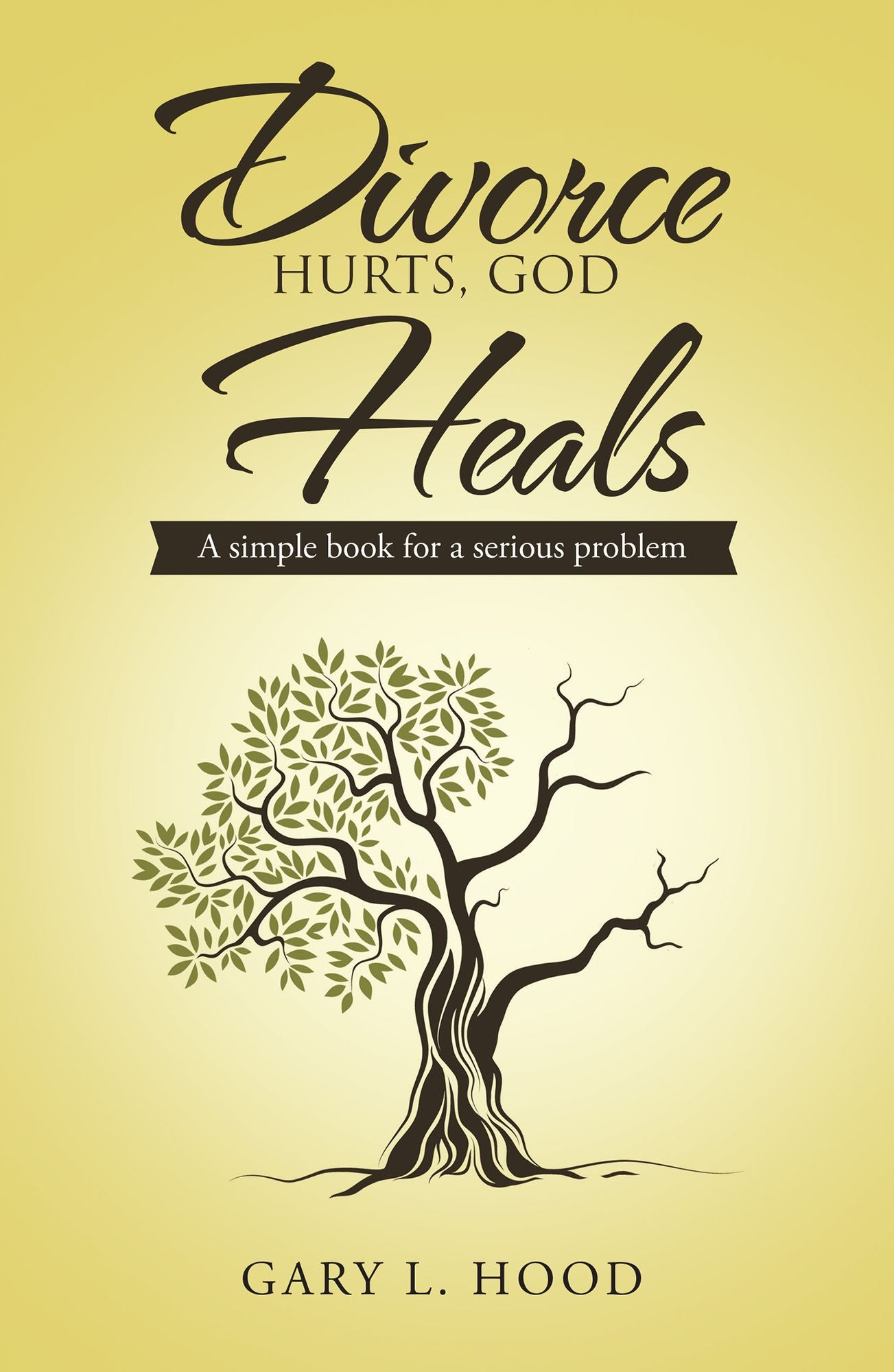 Divorce Hurts, God Heals: A simple book for a serious problem