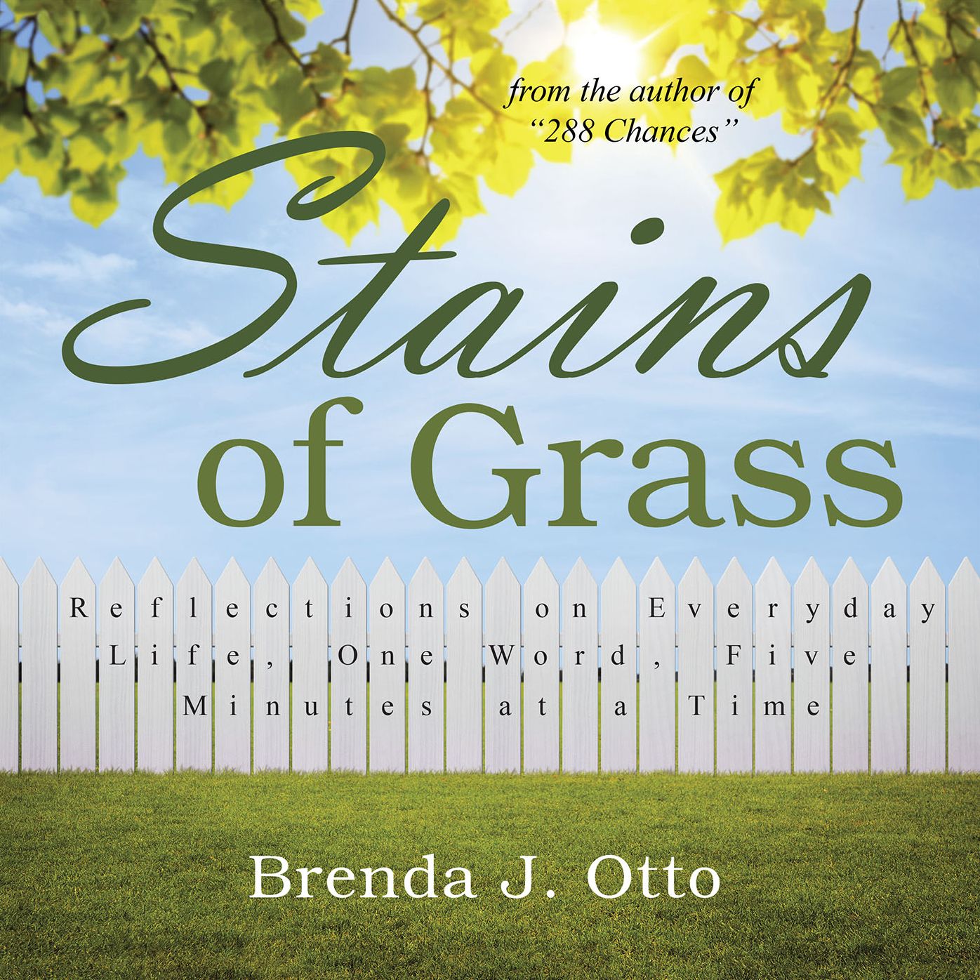 Stains of Grass: Reflections on Everyday Life, One Word, Five Minutes at a Time