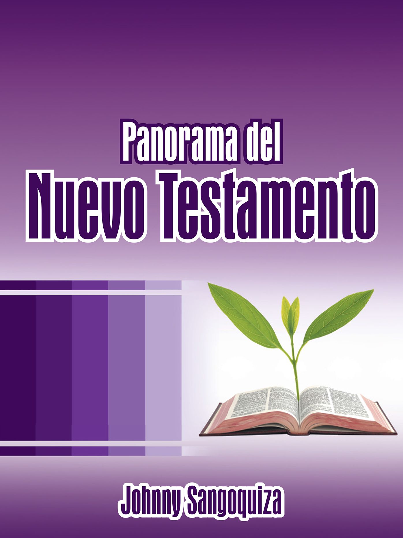Panorama Del Nuevo Testamento