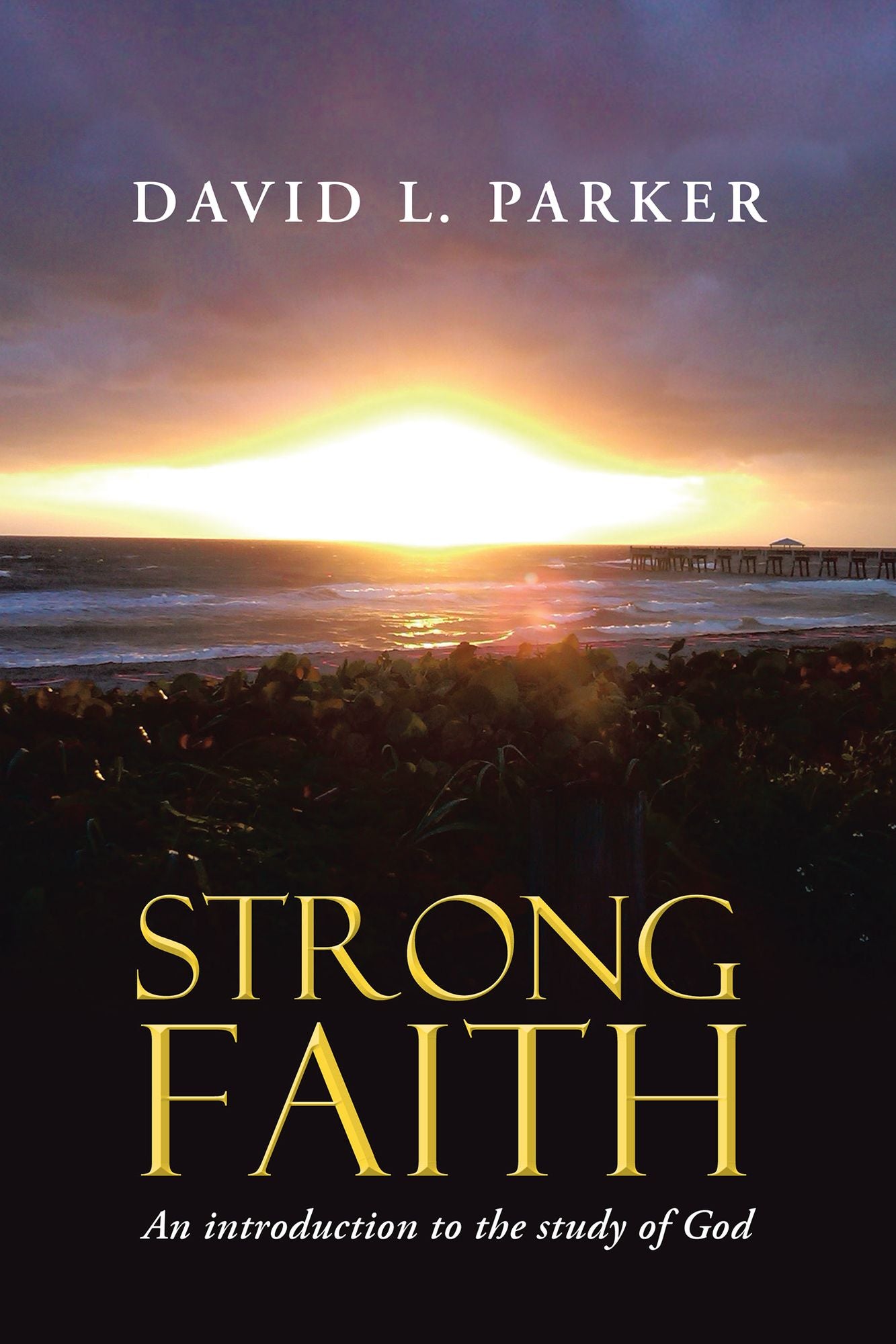 Strong Faith: An Introduction to the Study of God