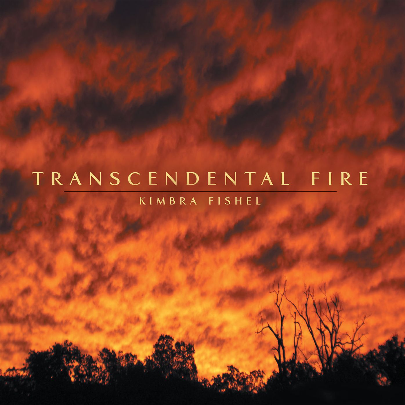 Transcendental Fire (PagePerfect NOOK Book)