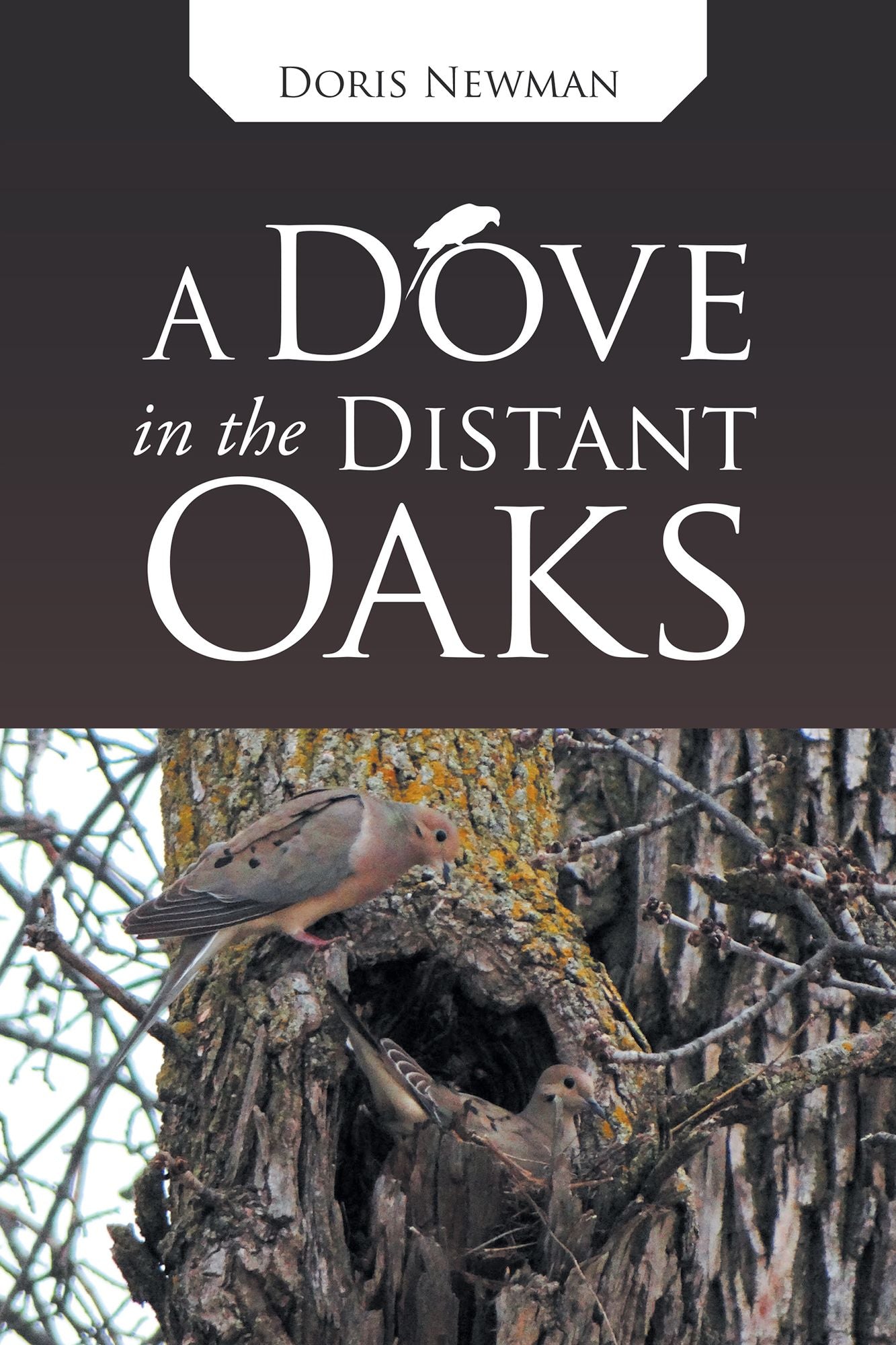 A Dove in the Distant Oaks