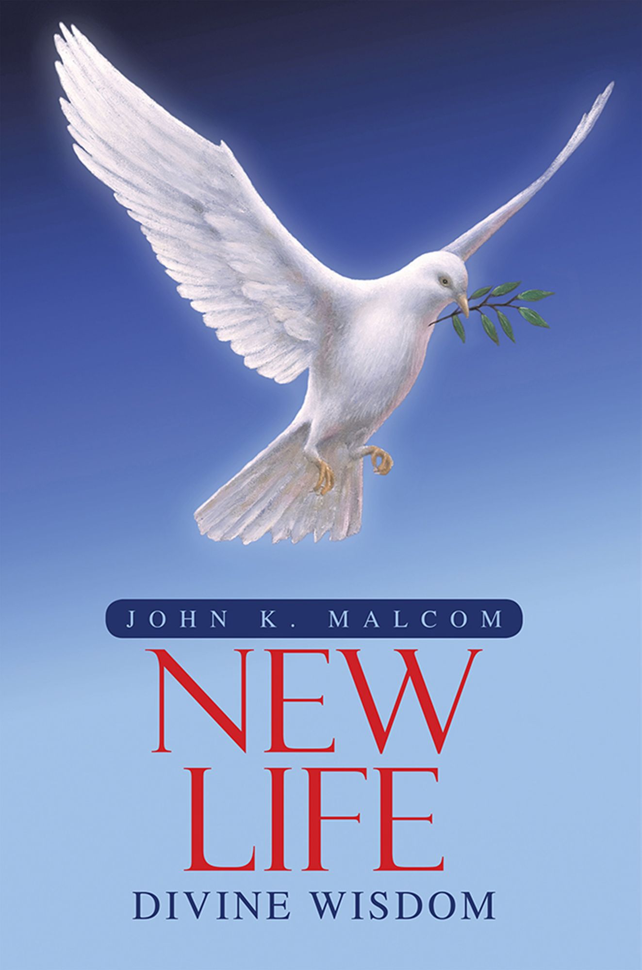 Divine Wisdom: New Life