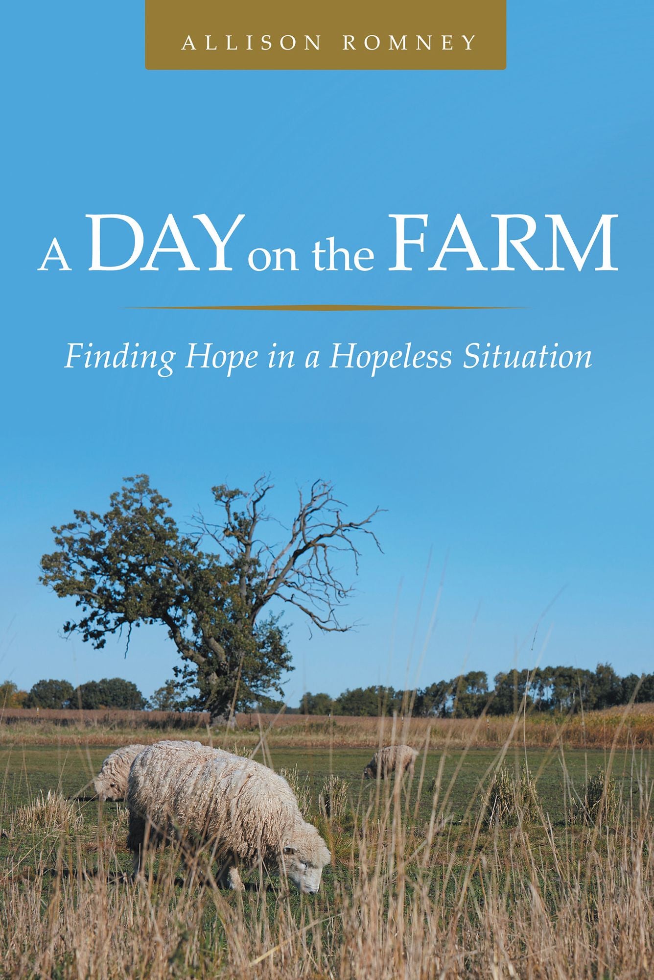 A Day on the Farm: Finding Hope in a Hopeless Situation