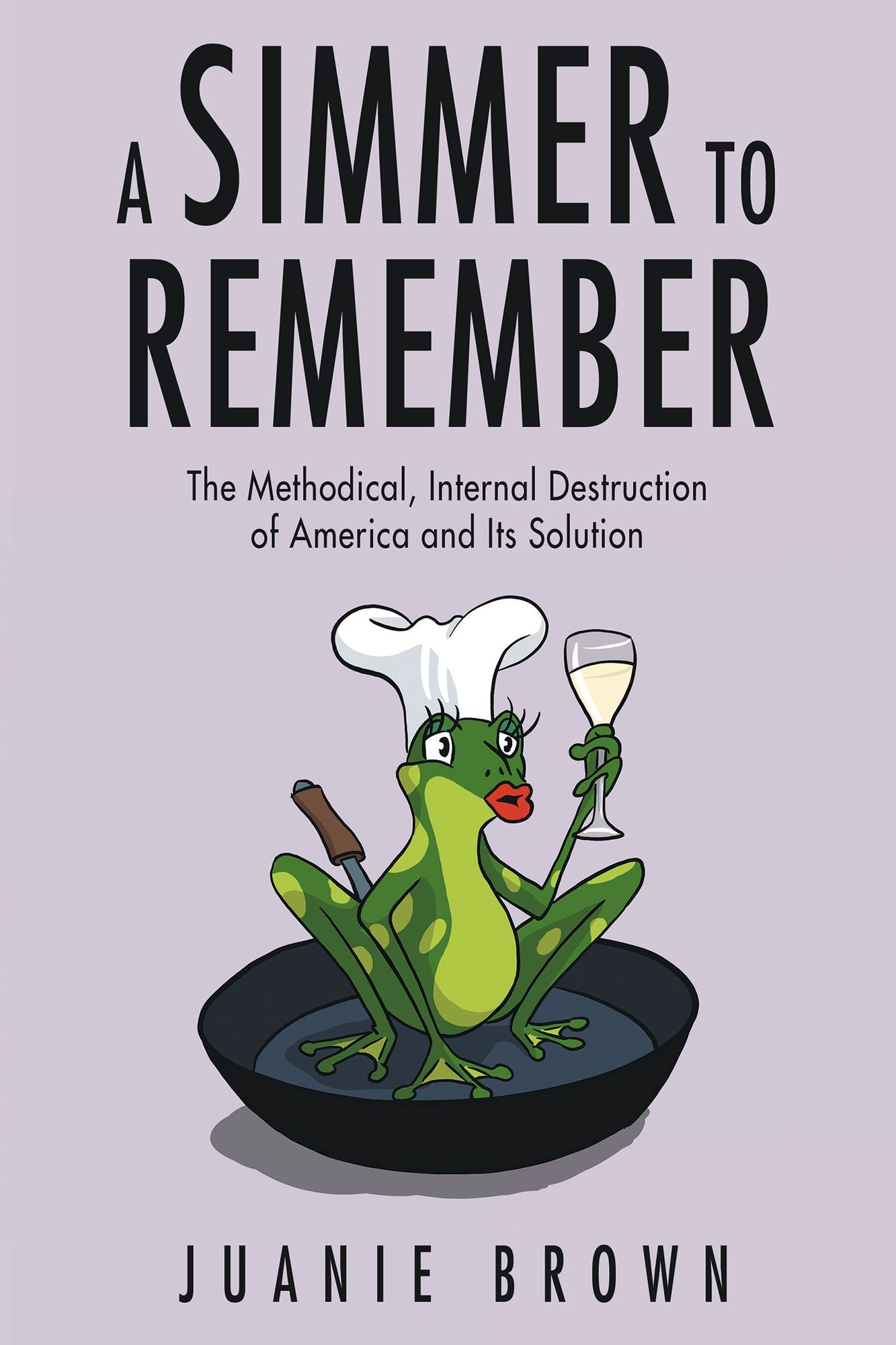 A Simmer to Remember: The Methodical, Internal Destruction of America and Its Solution