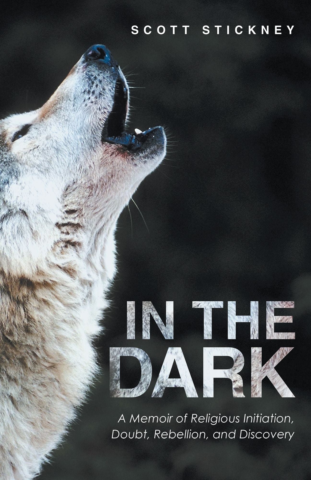 In the Dark: A Memoir of Religious Initiation, Doubt, Rebellion, and Discovery
