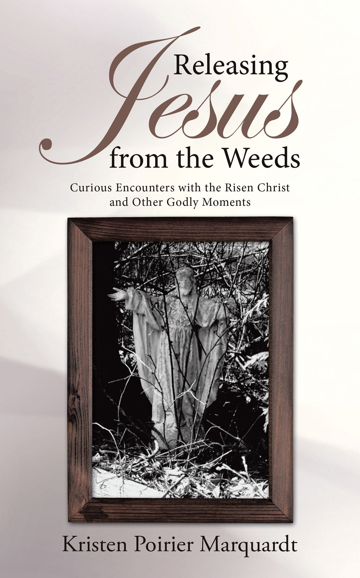 Releasing Jesus from the Weeds: Curious Encounters with the Risen Christ and Other Godly Moments