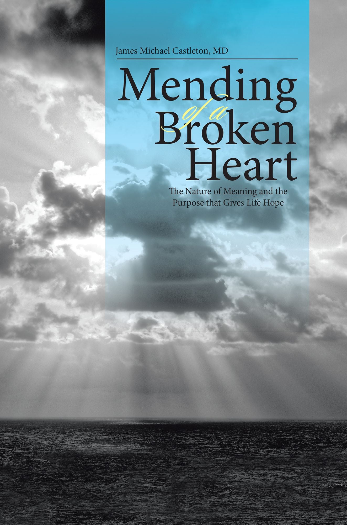 Mending of a Broken Heart: The Nature of Meaning and the Purpose That Gives Life Hope