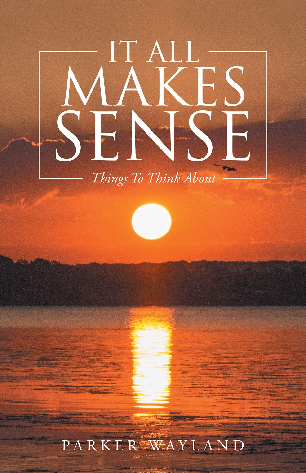 It All Makes Sense: Things to Think About