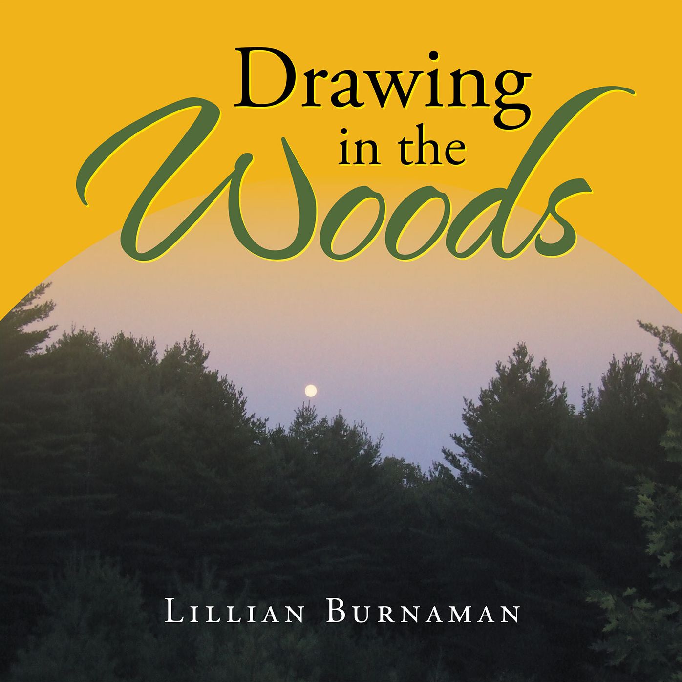 Drawing in the Woods (PagePerfect NOOK Book)