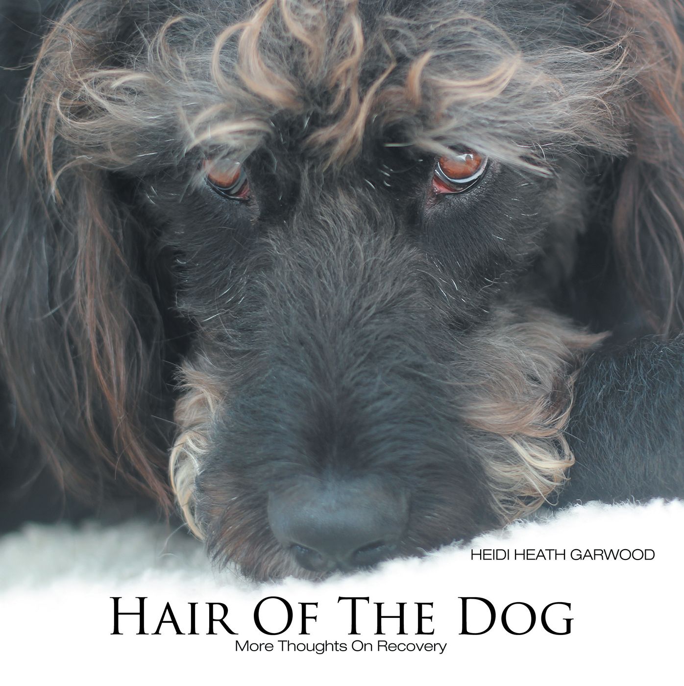 Hair of the Dog: More Thoughts on Recovery