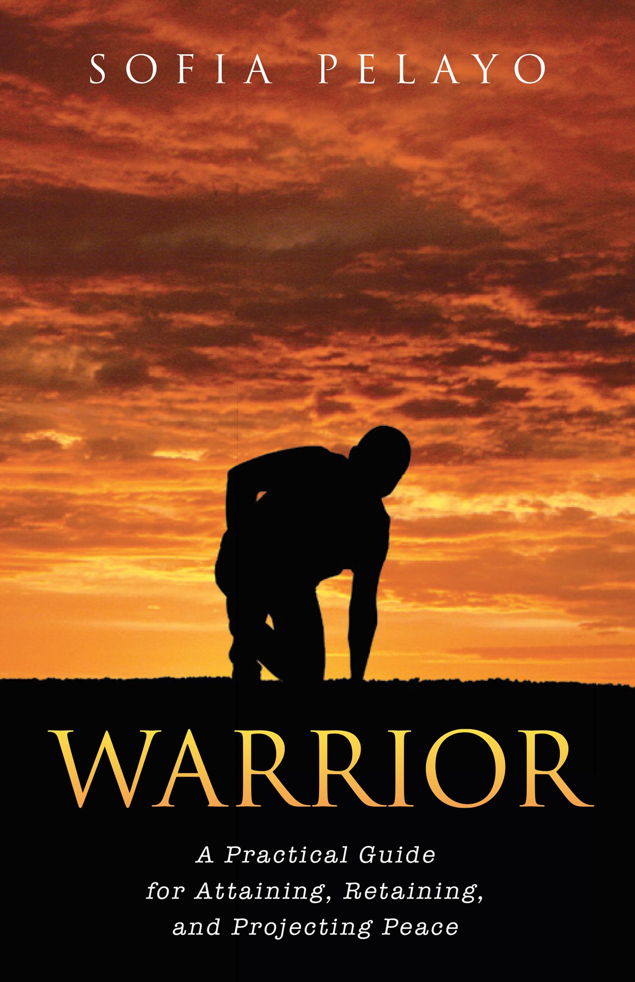 Warrior: A Practical Guide for Attaining, Retaining, and Projecting Peace