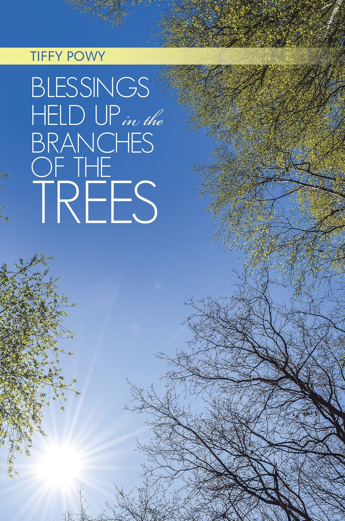 Blessings Held up in the Branches of the Trees