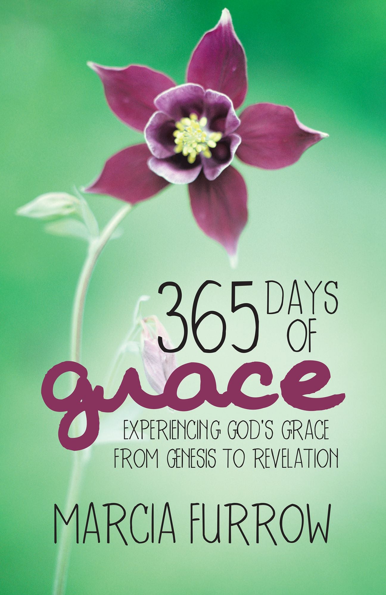 365 Days of Grace: Experiencing God'S Grace from Genesis to Revelation