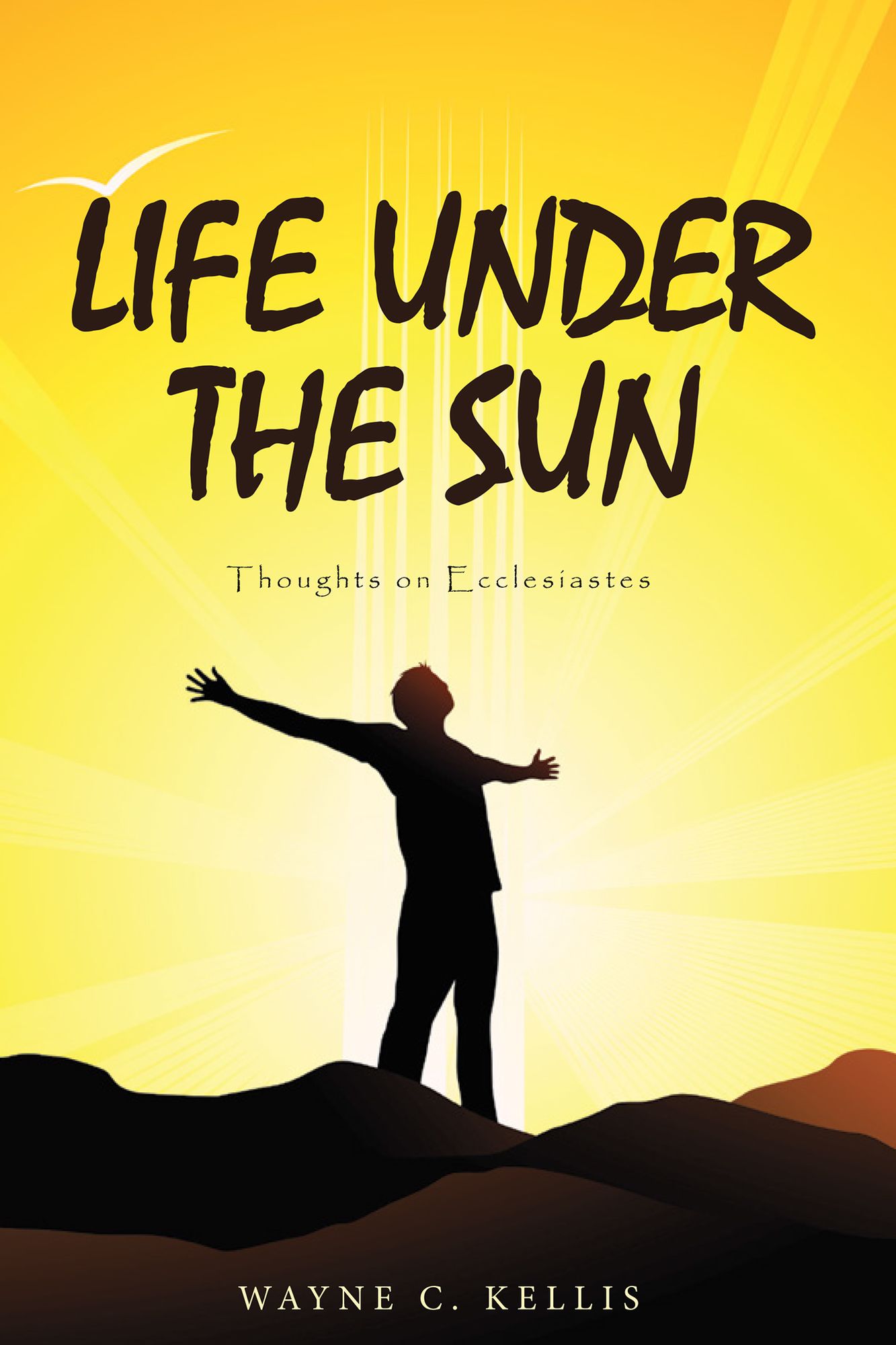 Life Under the Sun: Thoughts on Ecclesiastes