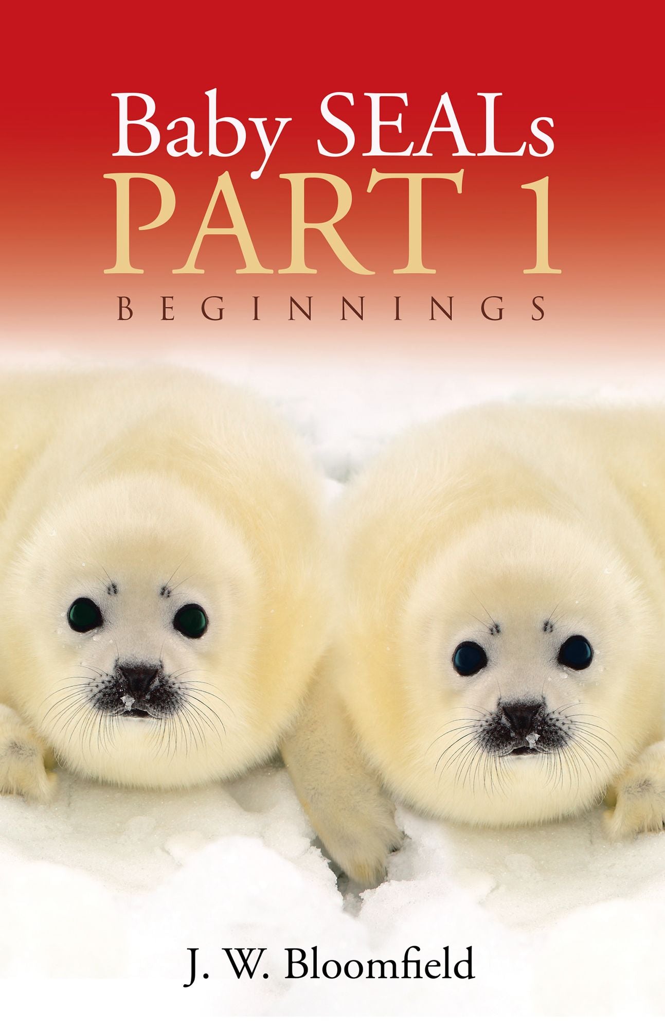 Baby Seals: Beginnings