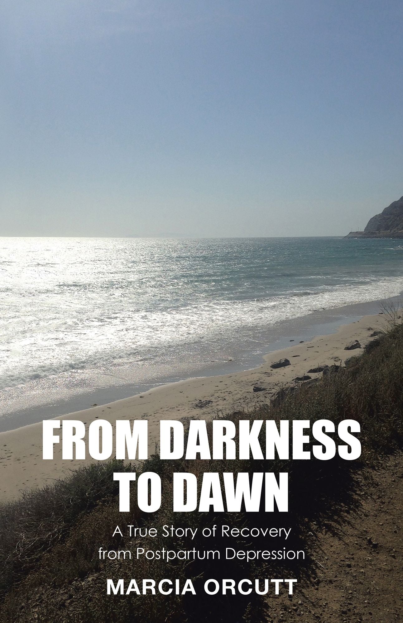 From Darkness to Dawn: A True Story of Recovery from Postpartum Depression