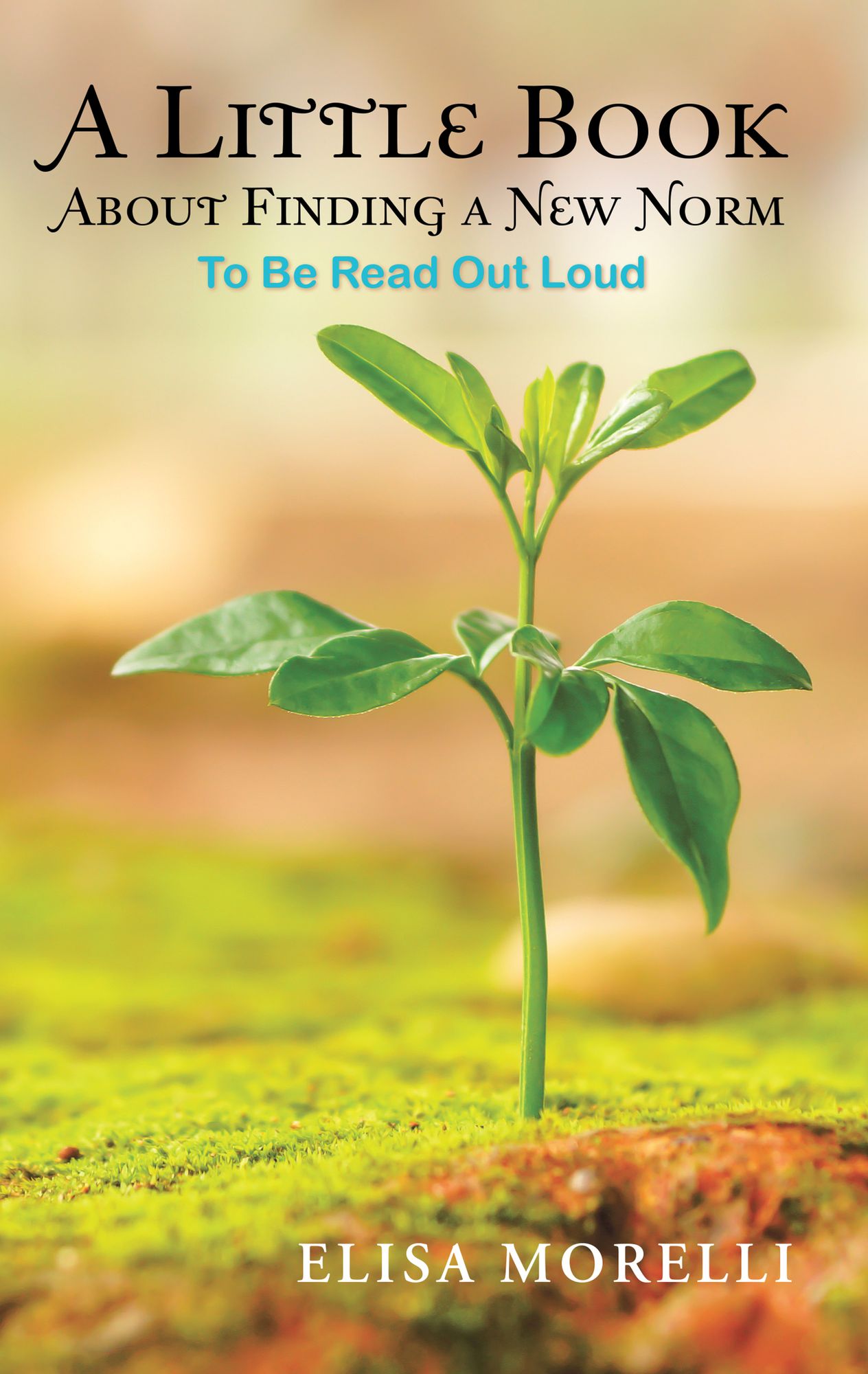 A Little Book About Finding a New Norm
