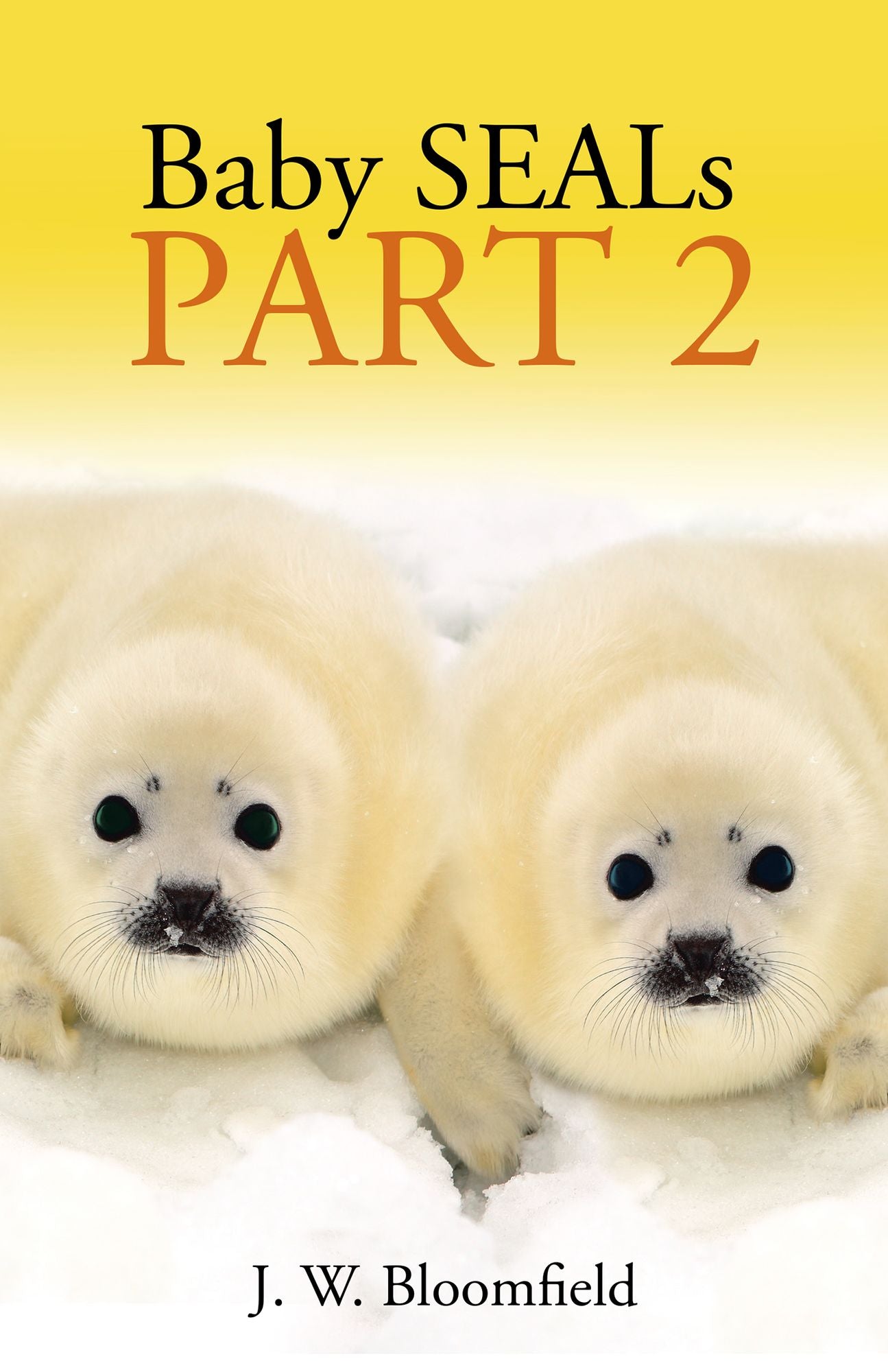 Baby Seals: Part 2