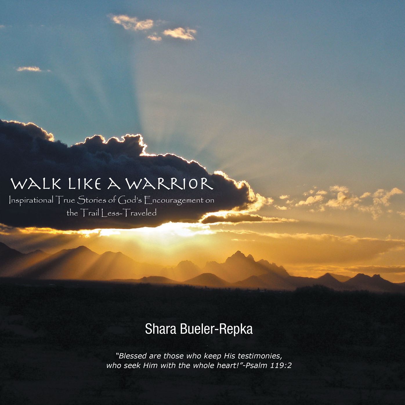 Walk Like a Warrior: Inspirational True Stories of God's Encouragement on the Trail Less-Traveled