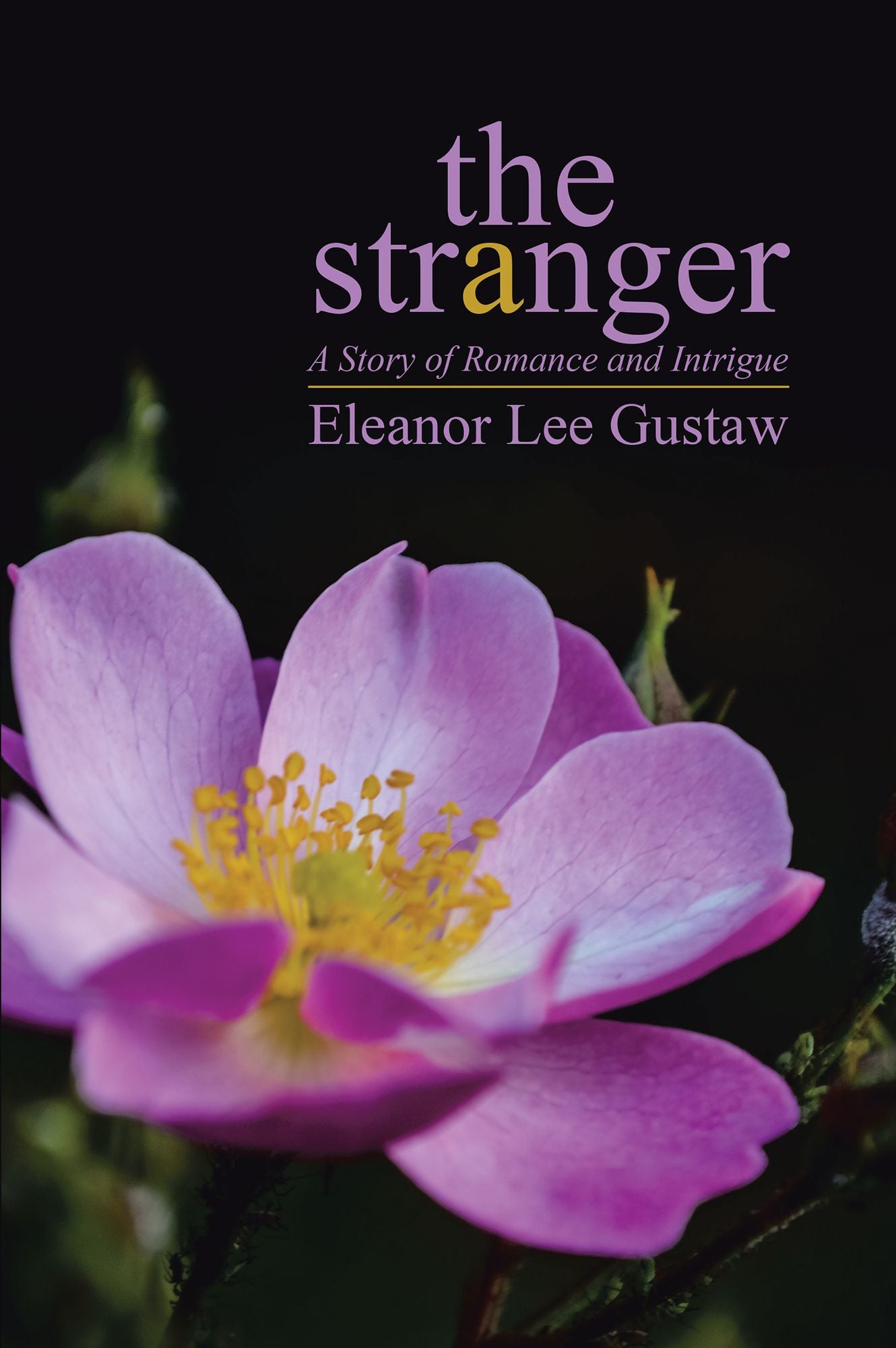 The Stranger: A Story of Romance and Intrigue