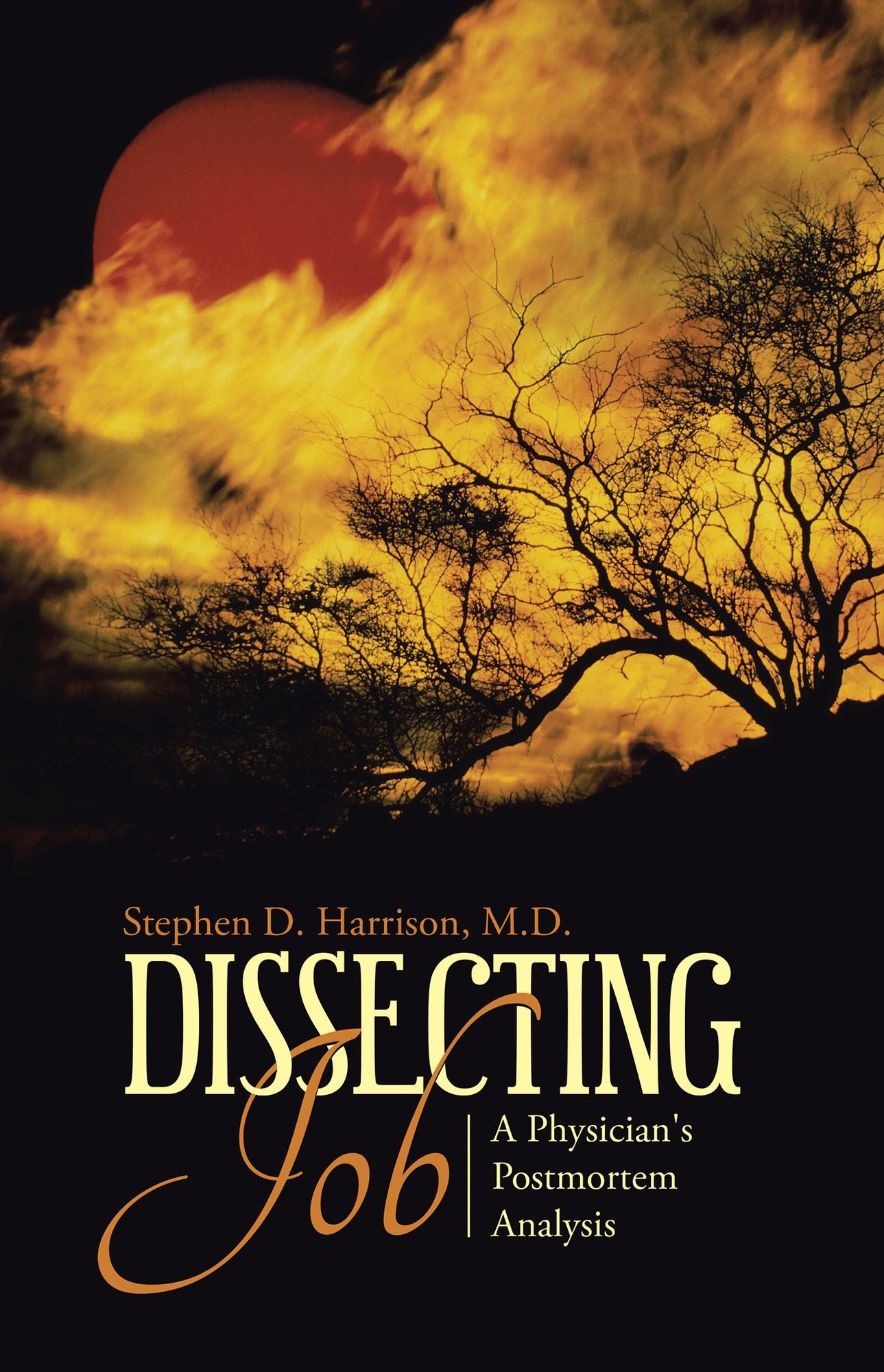Dissecting Job: A Physician's Postmortem Analysis