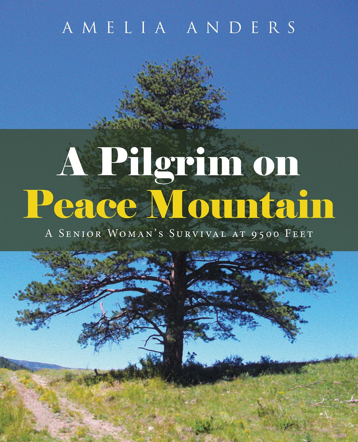 A Pilgrim on Peace Mountain: A Senior Woman's Survival at 9500 Feet