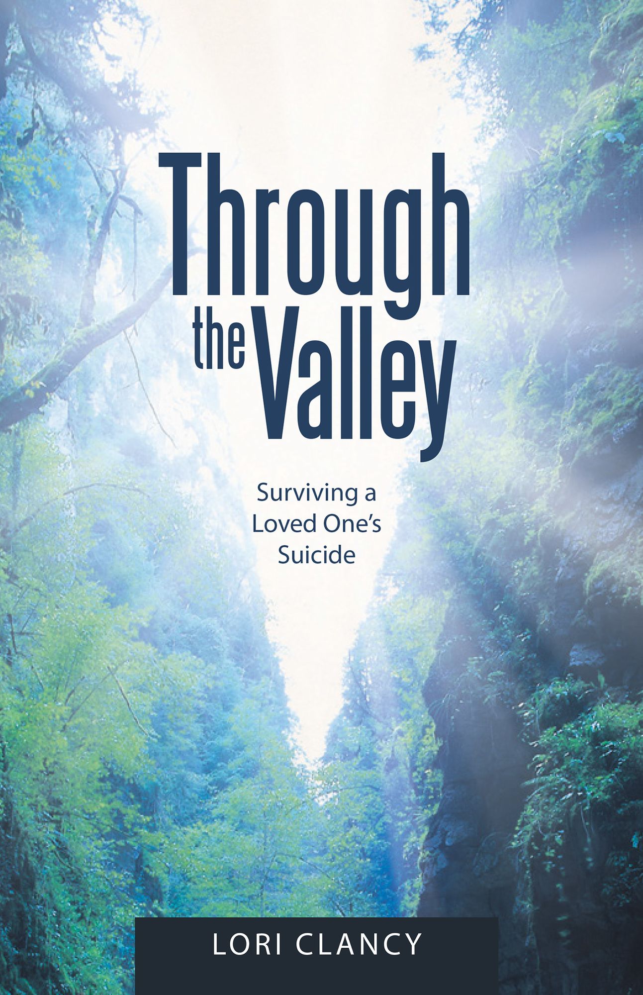 Through the Valley: Surviving a Loved One's Suicide