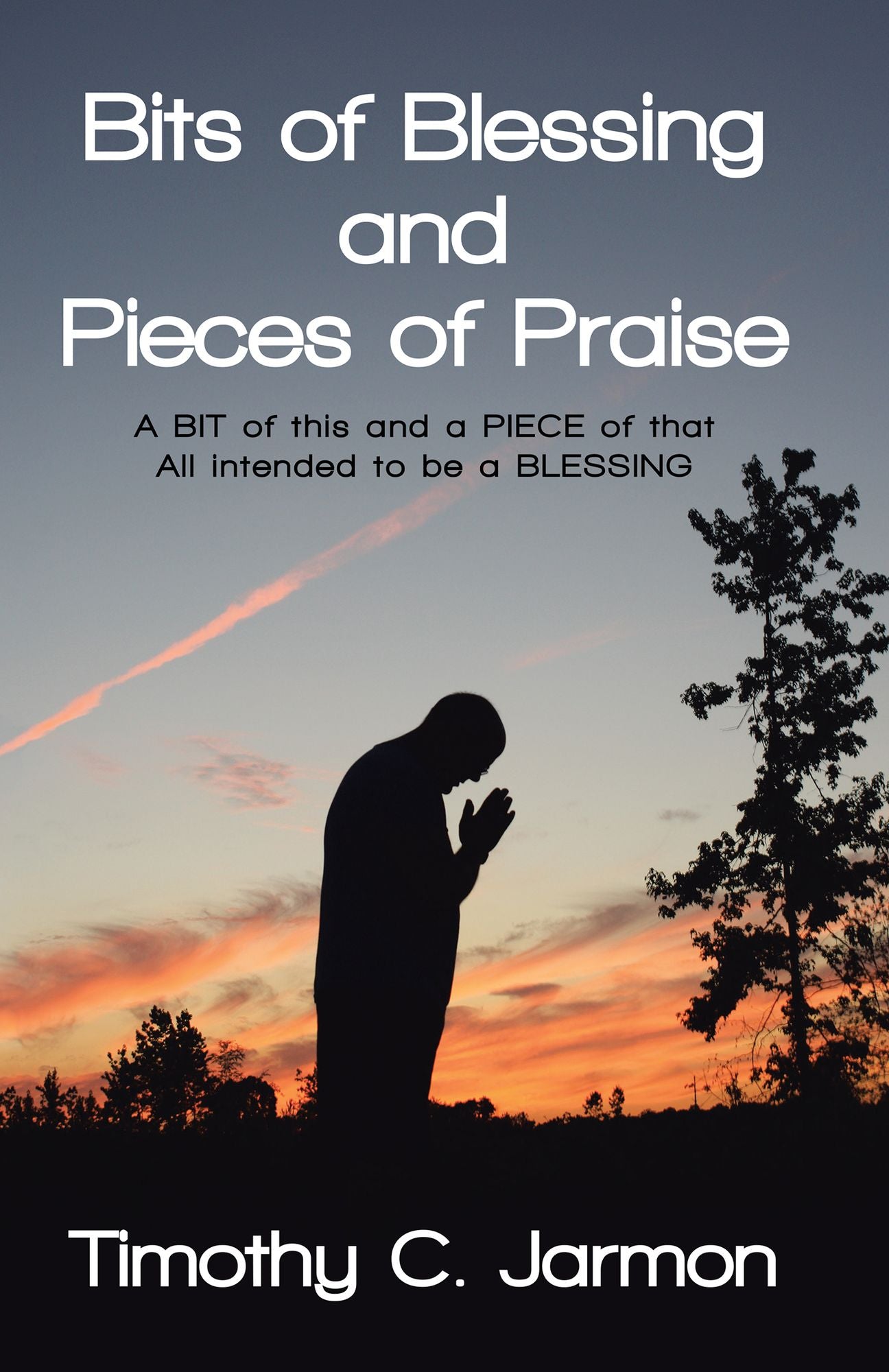 Bits of Blessing and Pieces of Praise: A Bit of This and a Piece of That All Intended to Be a Blessing