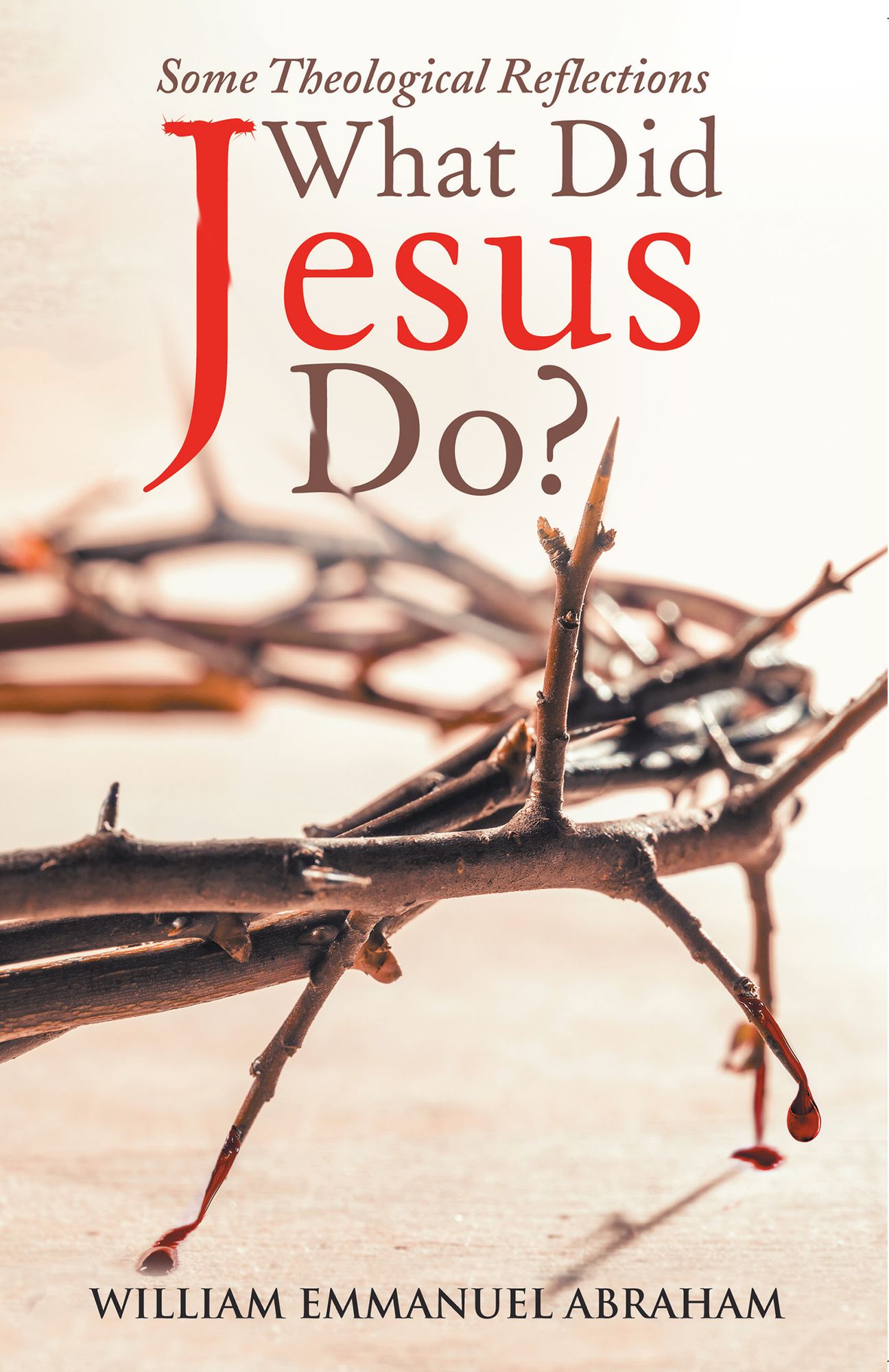 What Did Jesus Do?: Some Theological Reflections