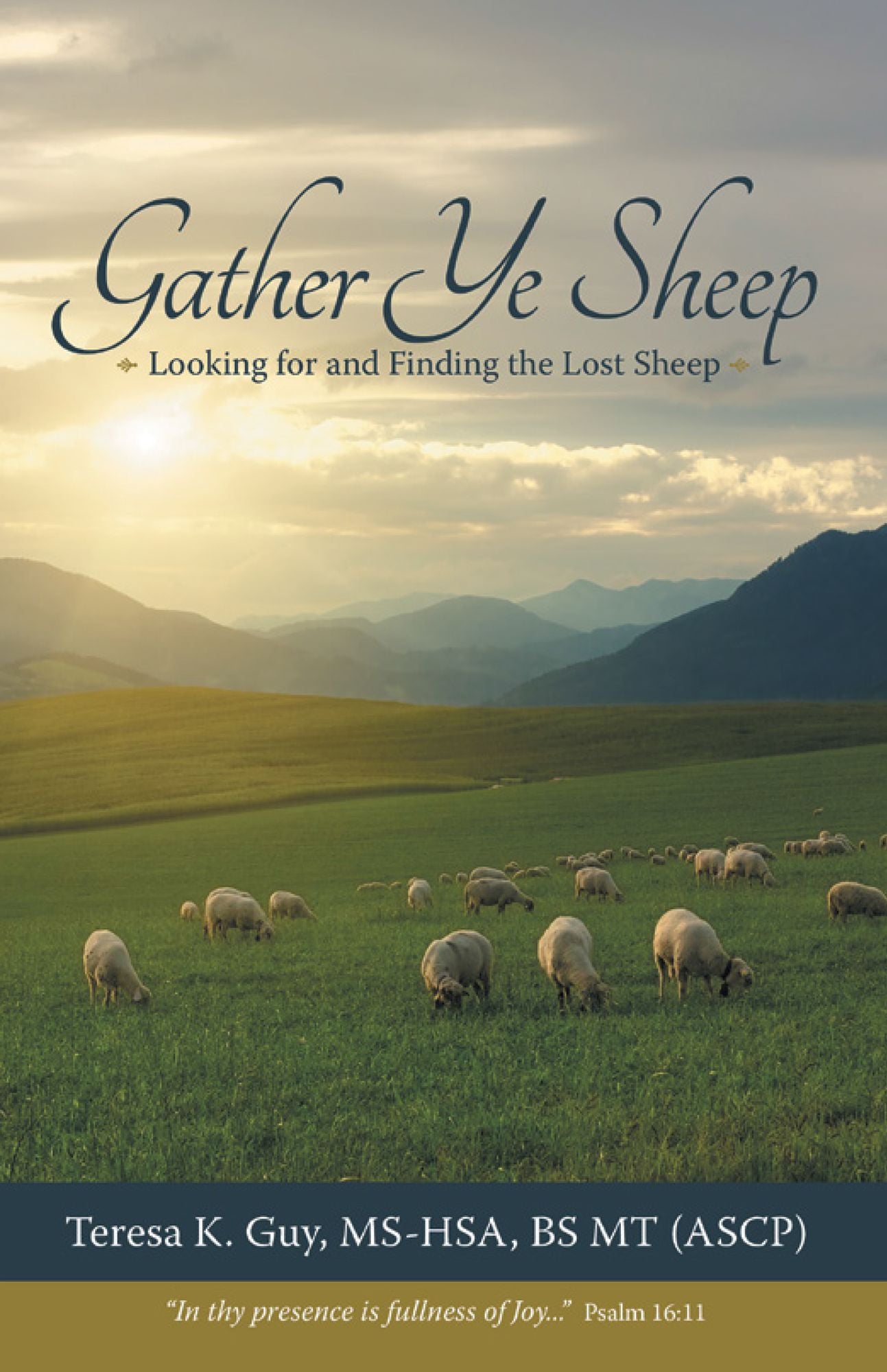 Gather Ye Sheep: Looking for and Finding the Lost Sheep