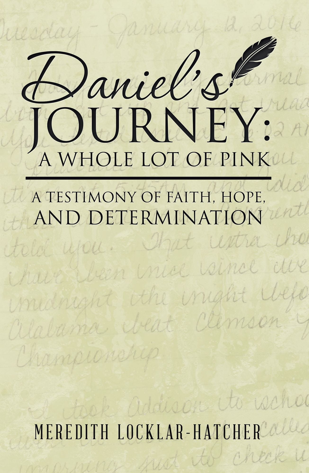 Daniel's Journey: A Whole Lot of Pink: A Testimony of Faith, Hope, and Determination