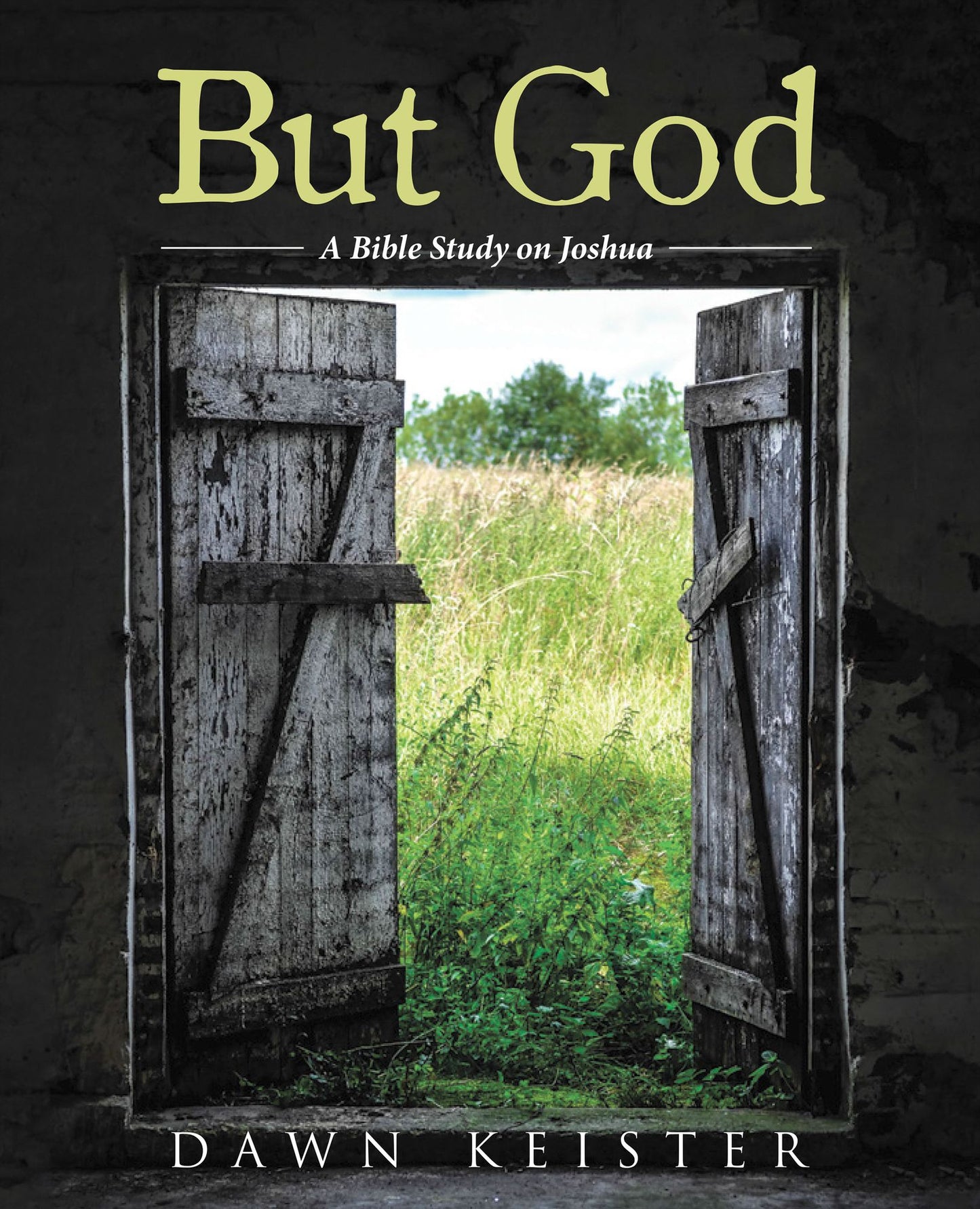 But God: A Bible Study on Joshua