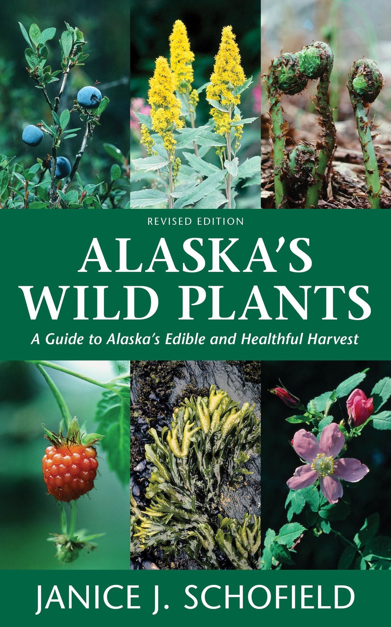 Alaska's Wild Plants : A Guide to Alaska's Edible and Healthful Harvest