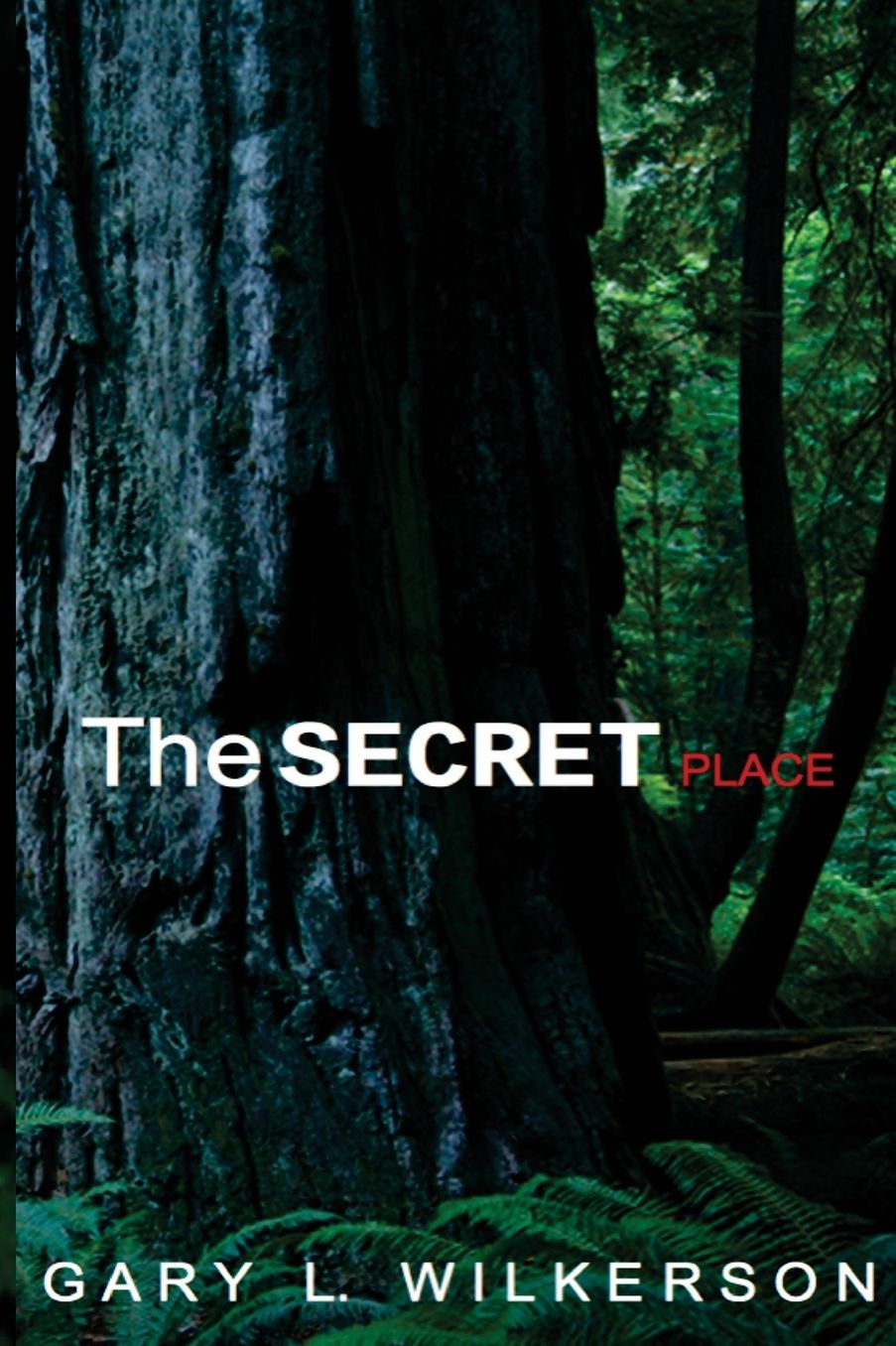 The SECRET Place