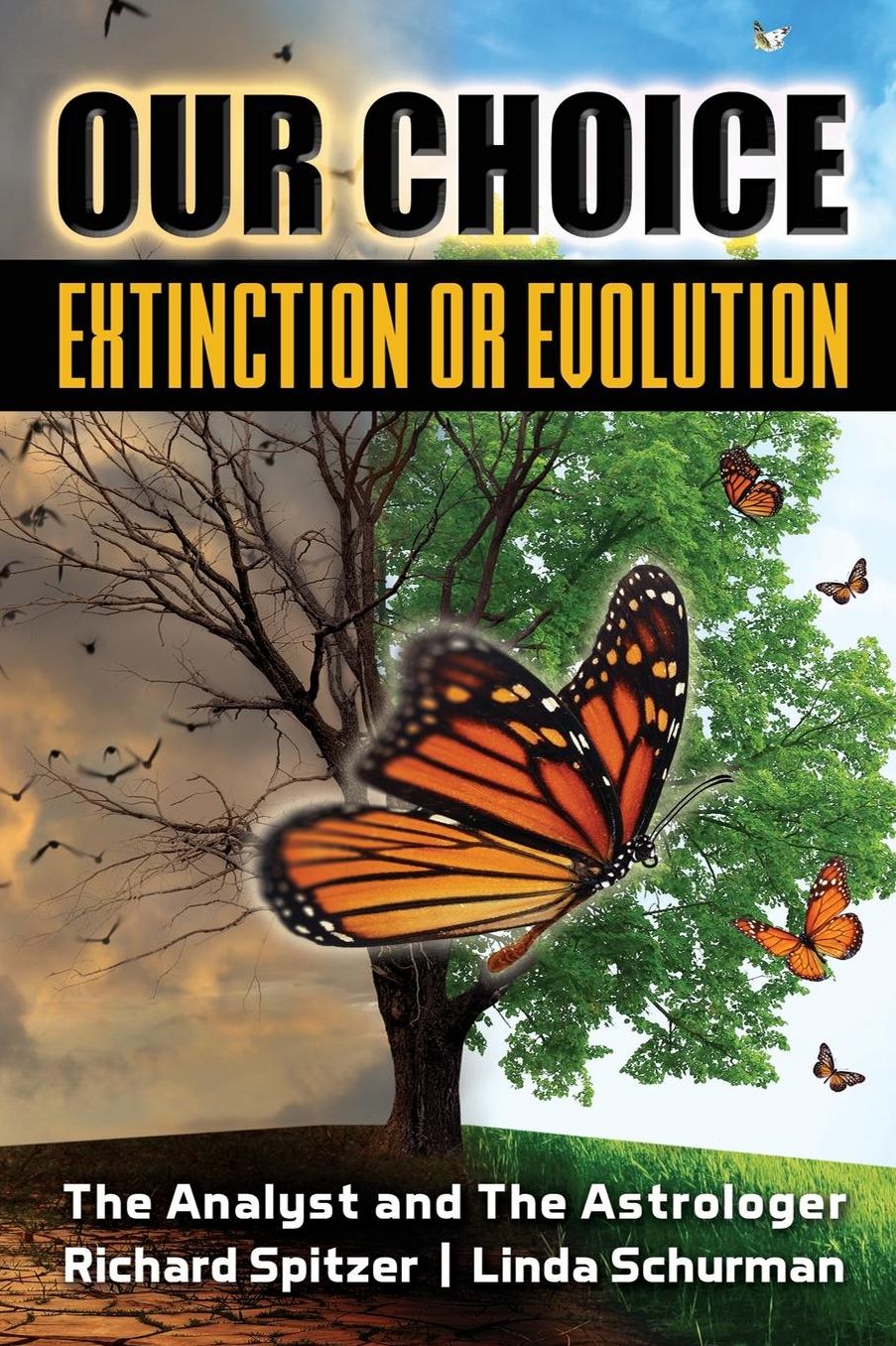 Our Choice Extinction or Evolution: The Analyst and the Astrologer