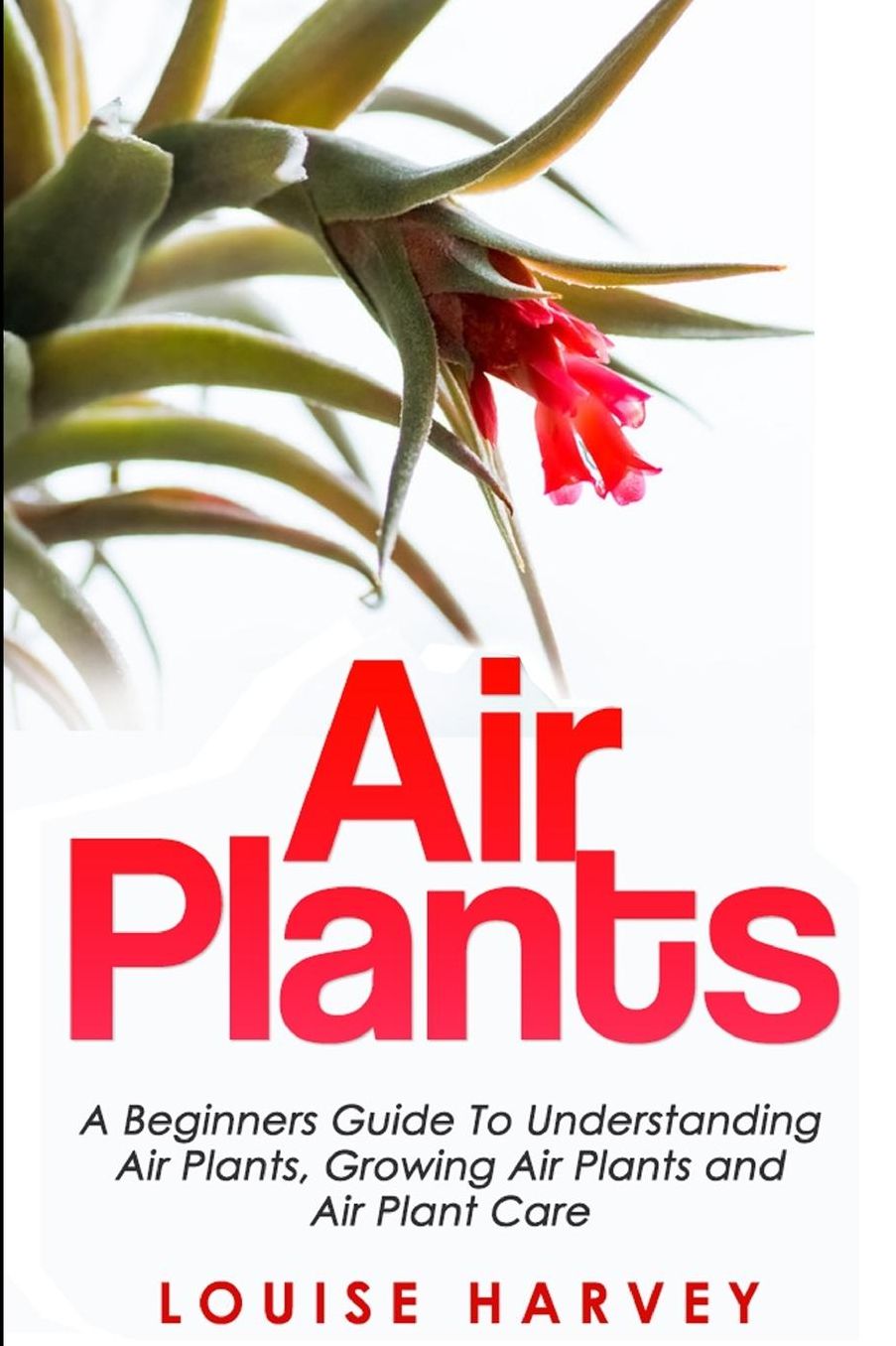 Air Plants: A Beginners Guide To Understanding Air Plants, Growing Air Plants and Air Plant Care (Booklet)