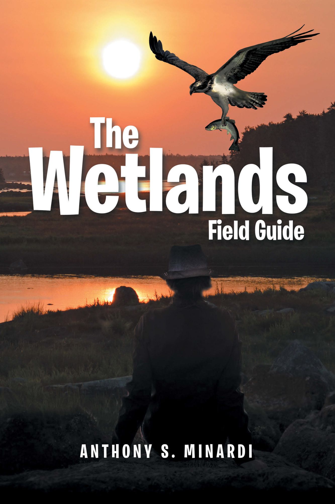 The Wetlands Field Guide