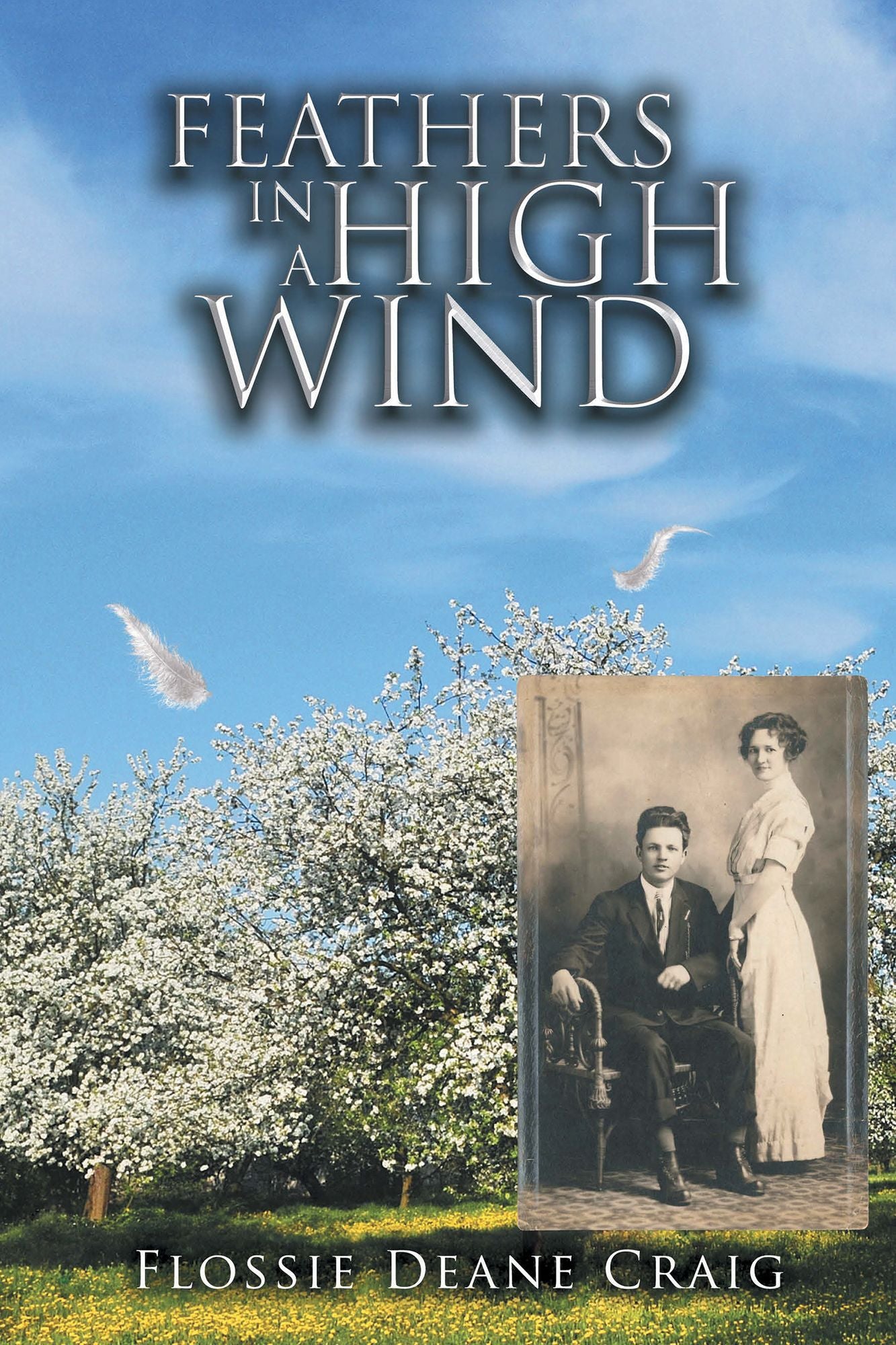 FEATHERS IN A HIGH WIND