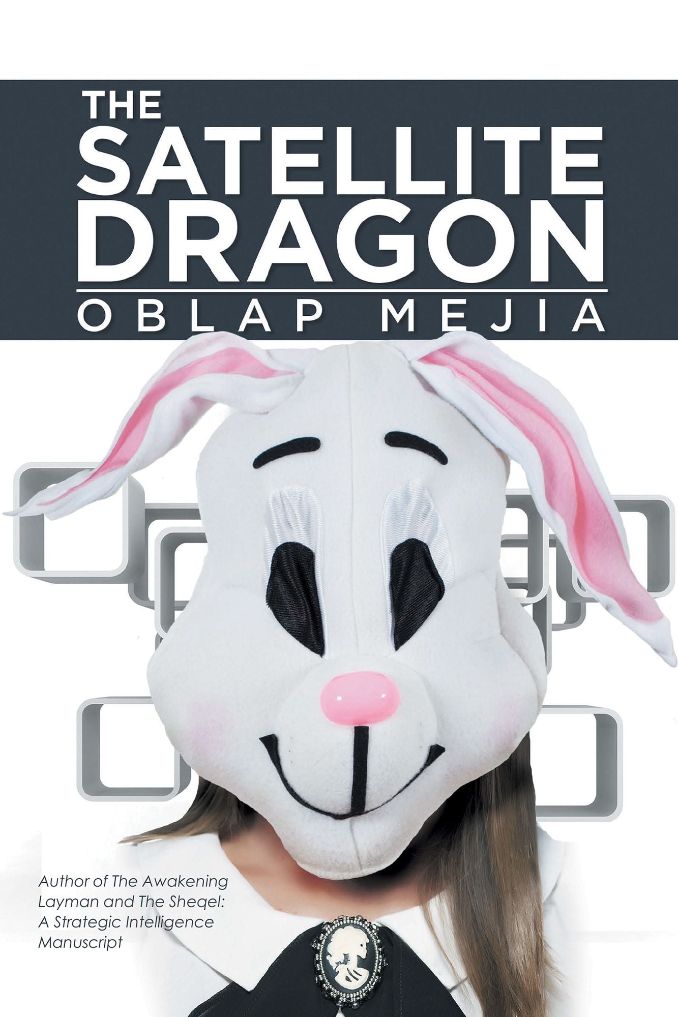 The Satellite Dragon: A Novel About the Growing Life and Adventurous Methods of Obtaining Something We as Characters Play by Roles in Life, Which Seem Mind-Boggling but Well Rehearsed.