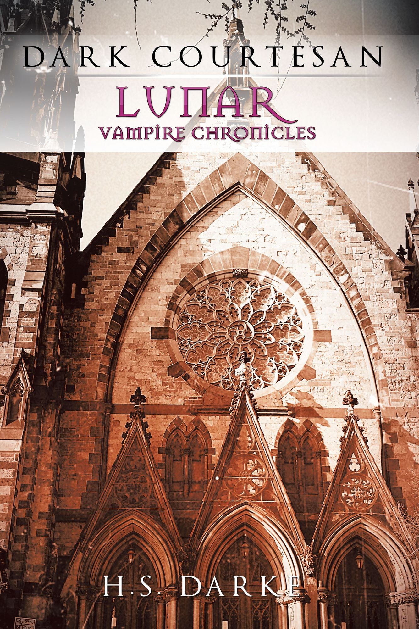 Lunar Vampire Chronicles:: Dark Courtesan