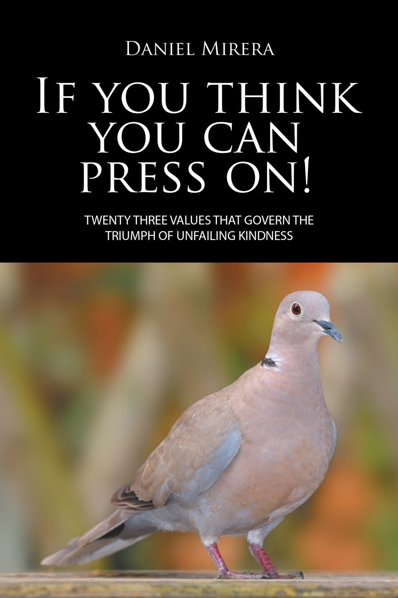 If you think you can press on!: TWENTY THREE VALUES THAT GOVERN THE TRIUMPH OF UNFAILING KINDNESS