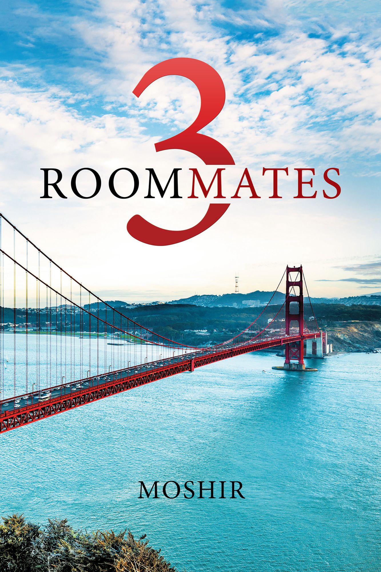 3 Roommates