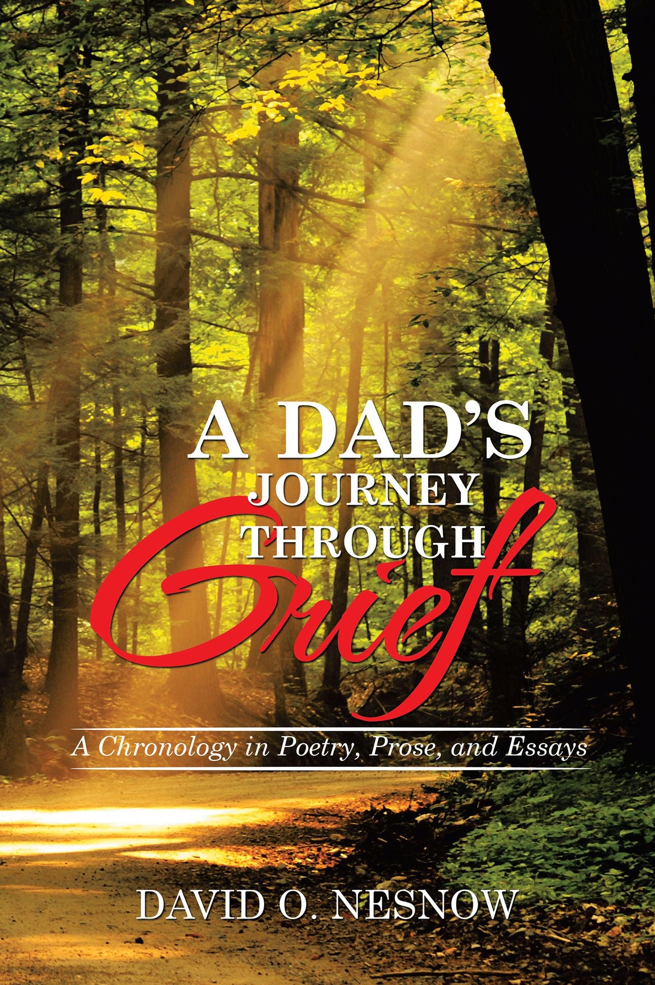 A Dad's Journey Through Grief: A Chronology in Poetry, Prose, and Essays