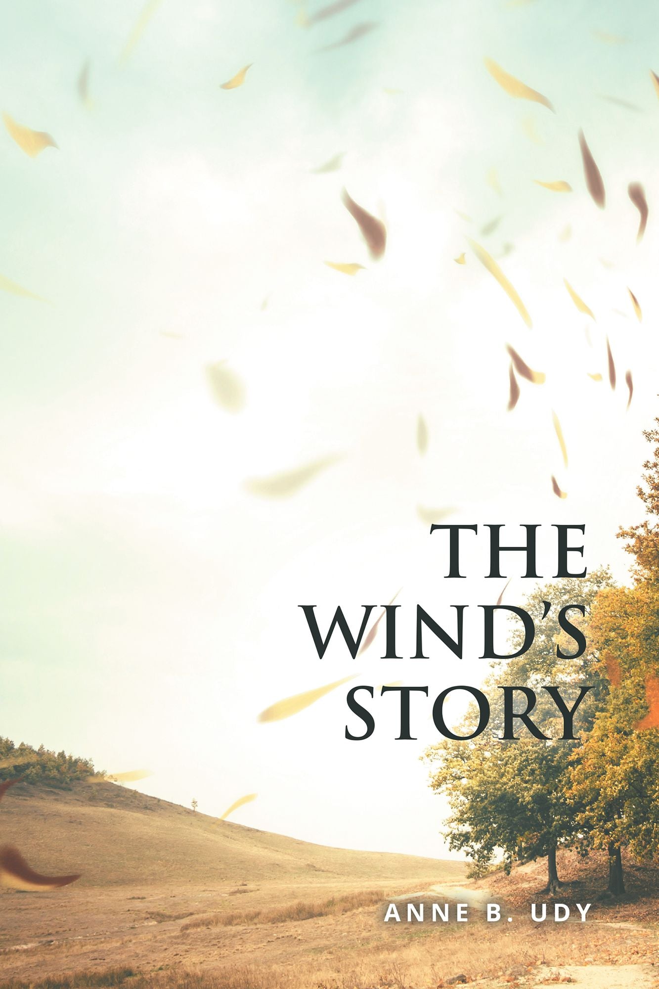 The Wind's Story