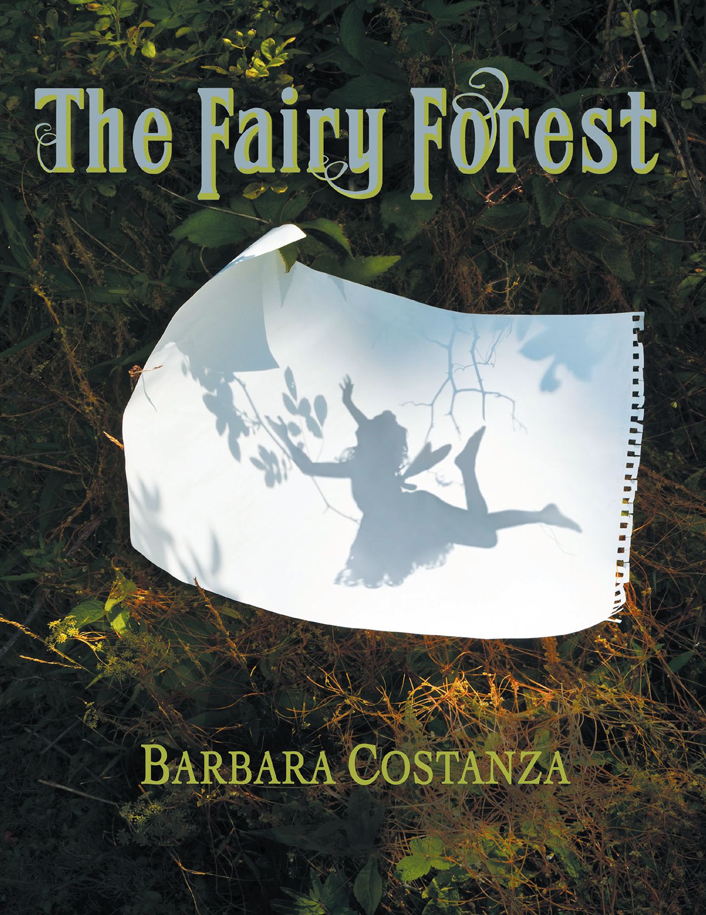 The Fairy Forest: A True Story