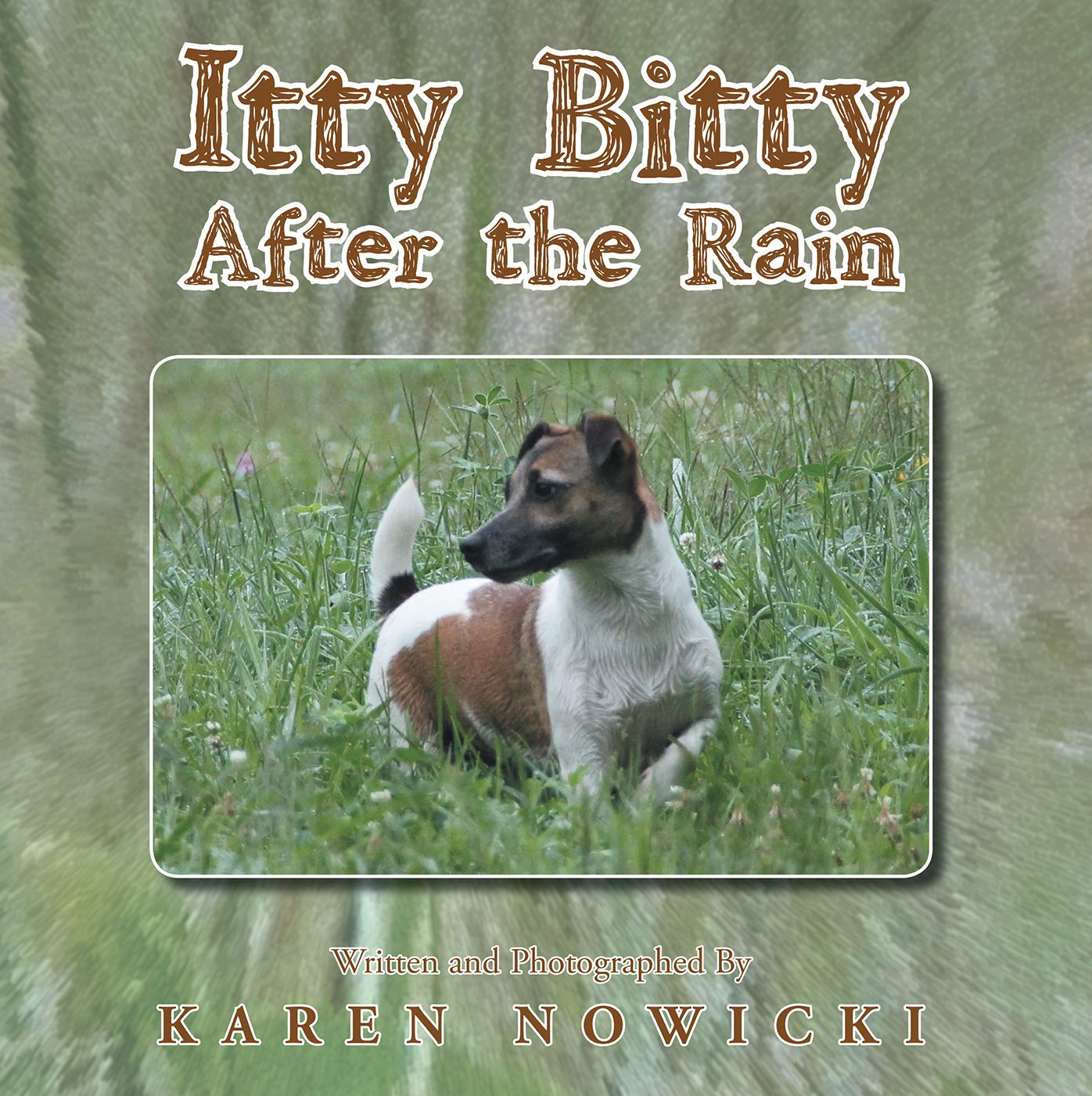 Itty Bitty After the Rain